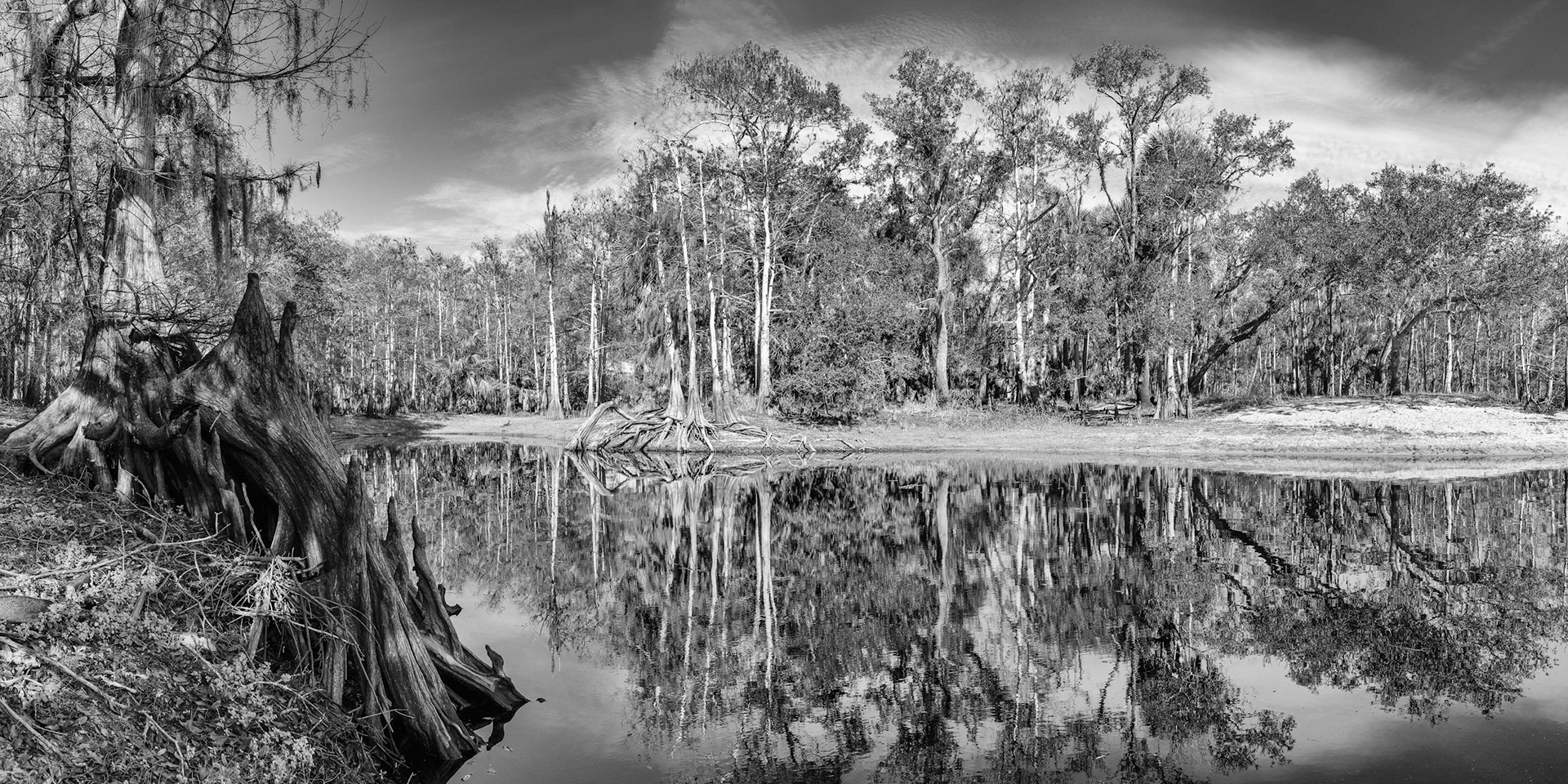 Fisheating Creek