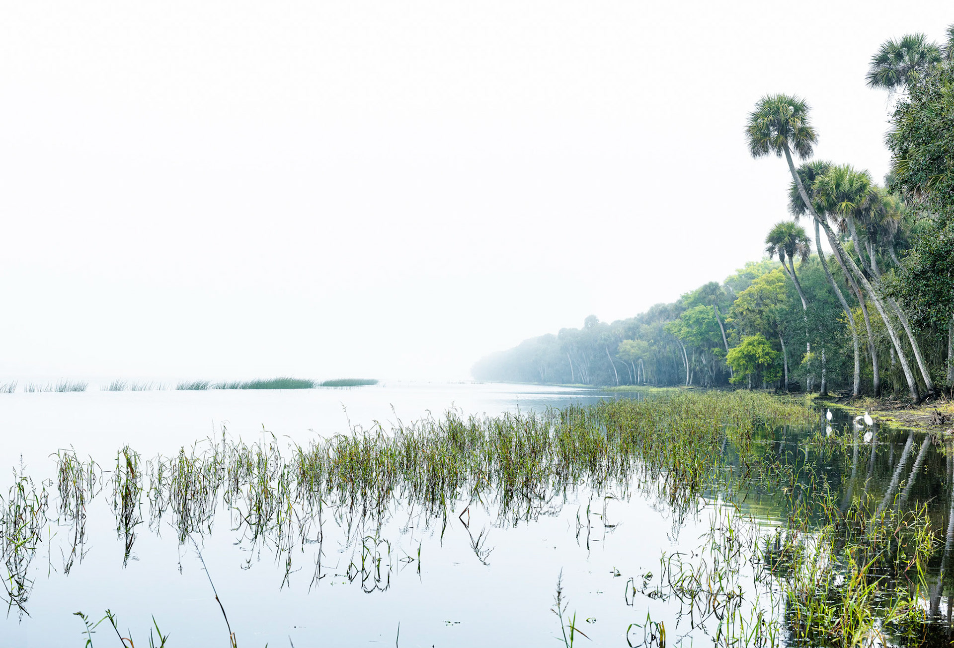 Upper Myakka Lake