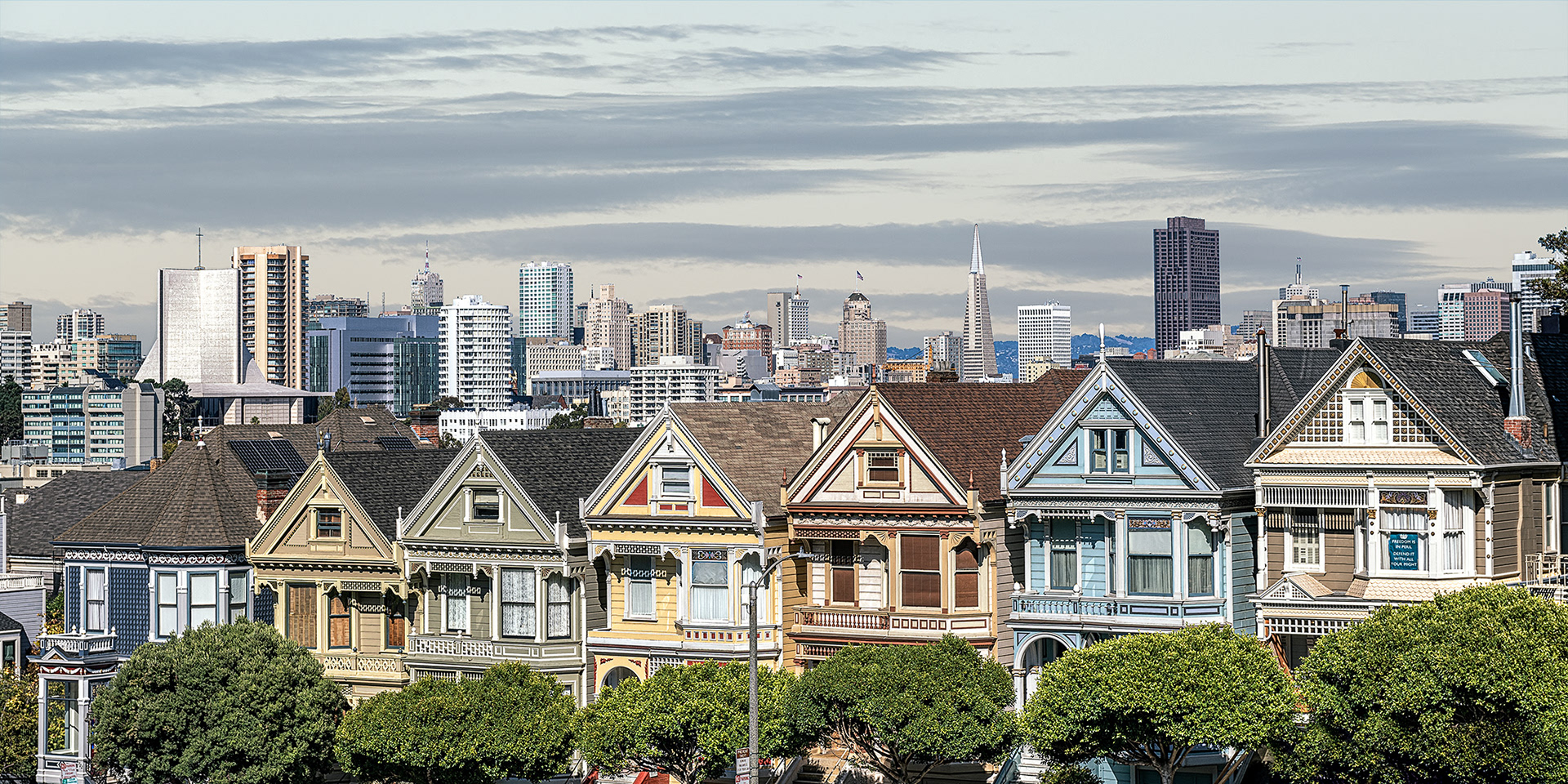 Painted Ladies