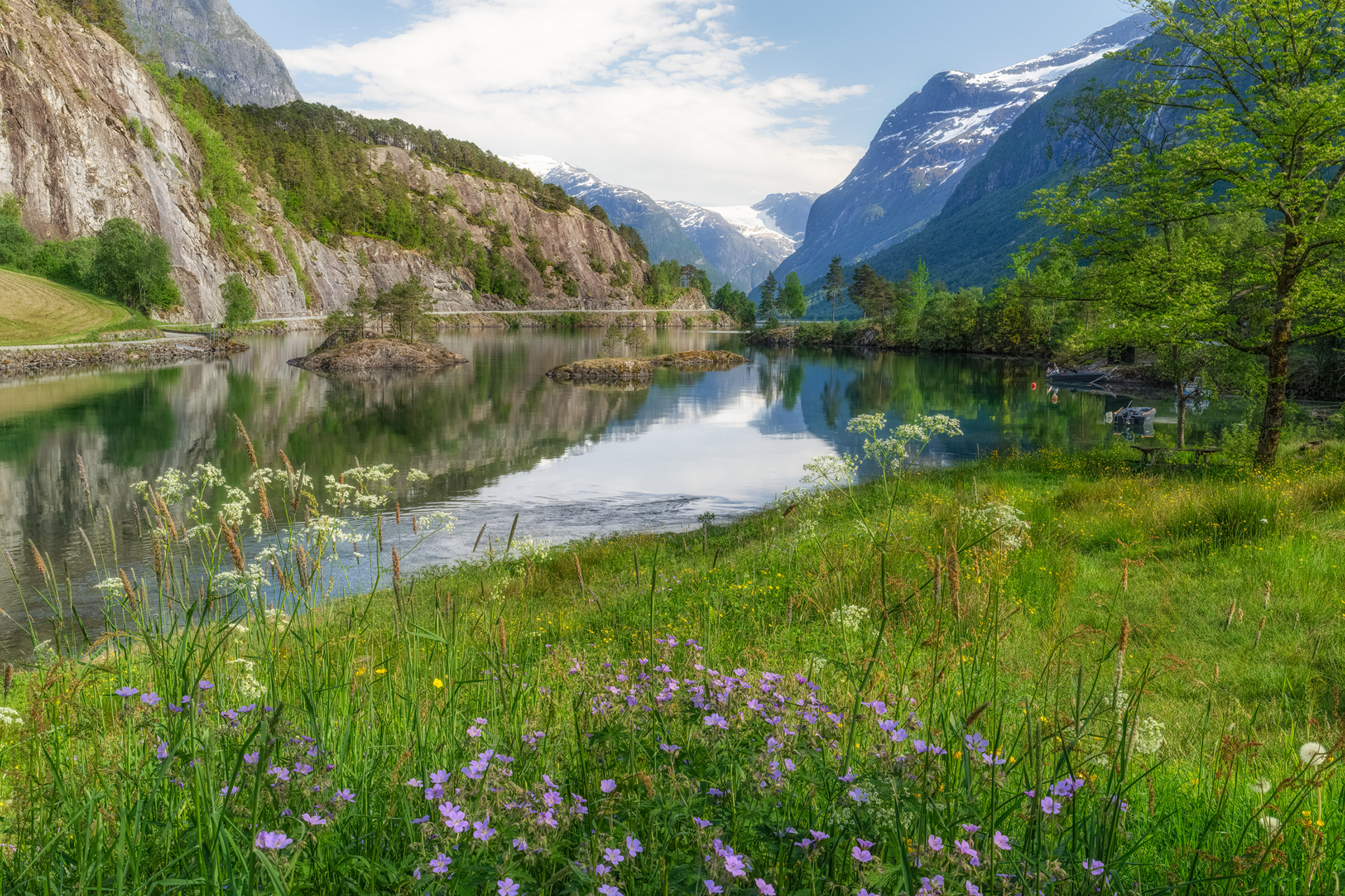 Lovatnet’s Floral Embrace
