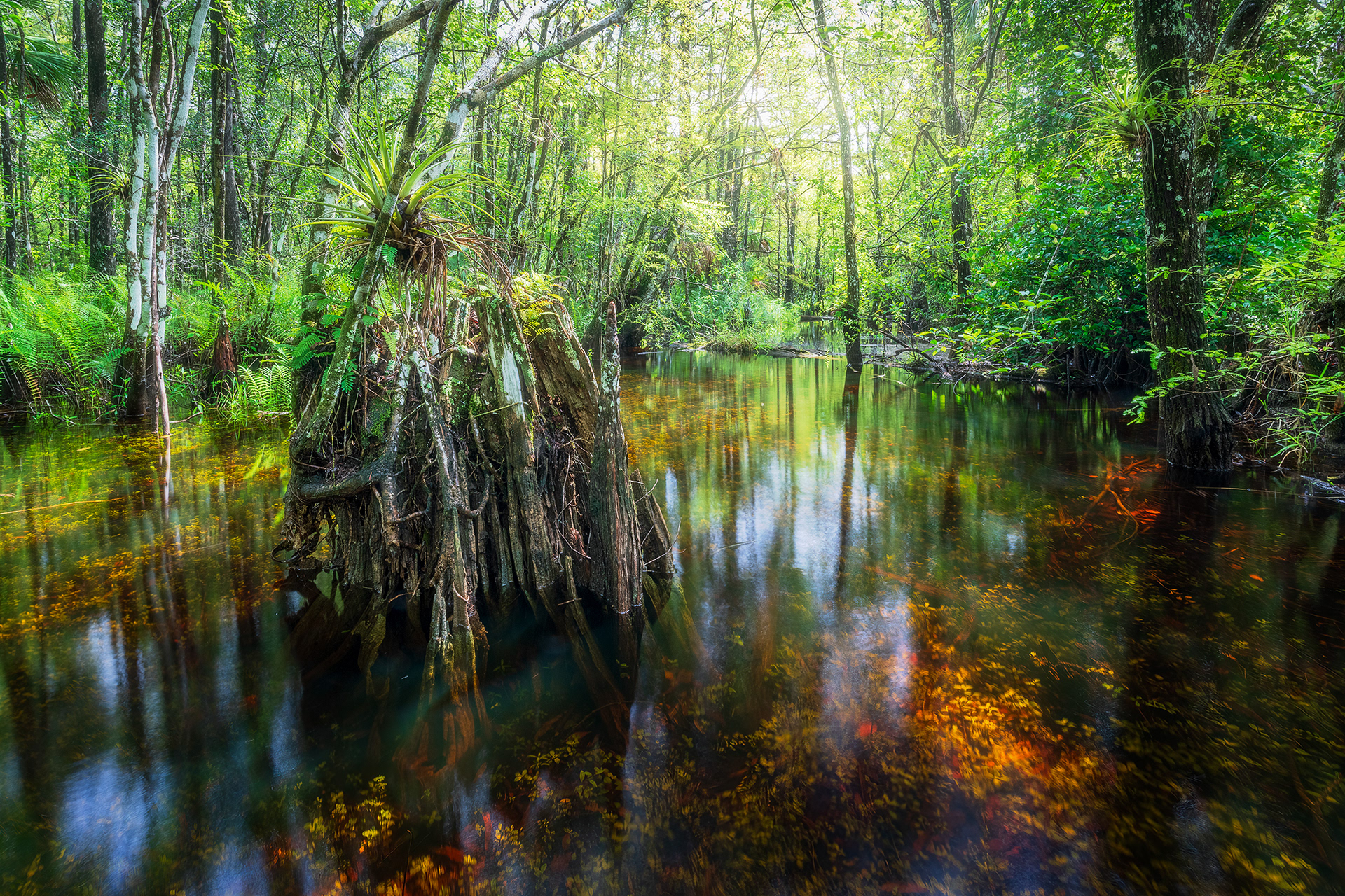 Along Janes Scenic drive