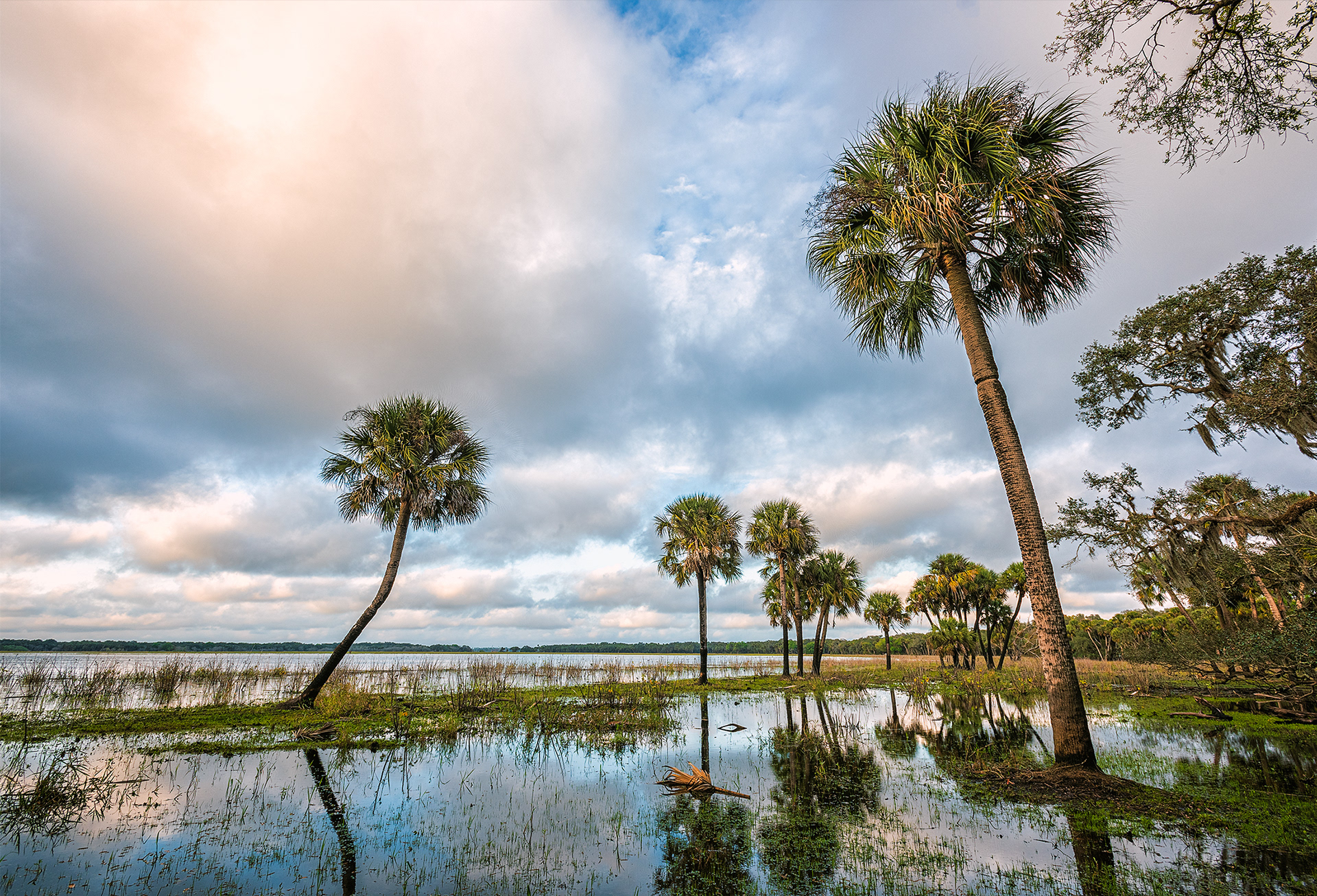 Myakka Serenity