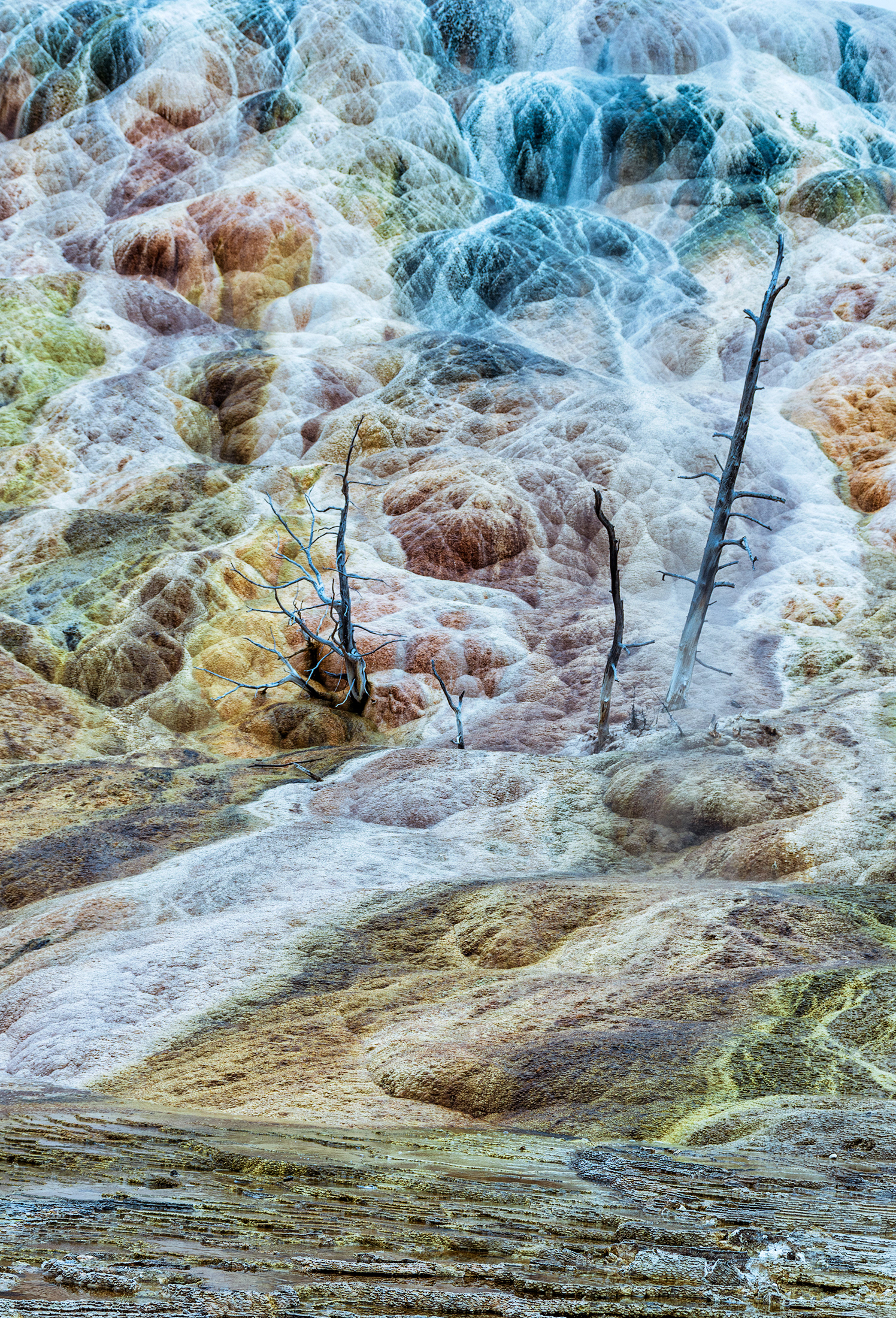 Yellowstone Color Palette