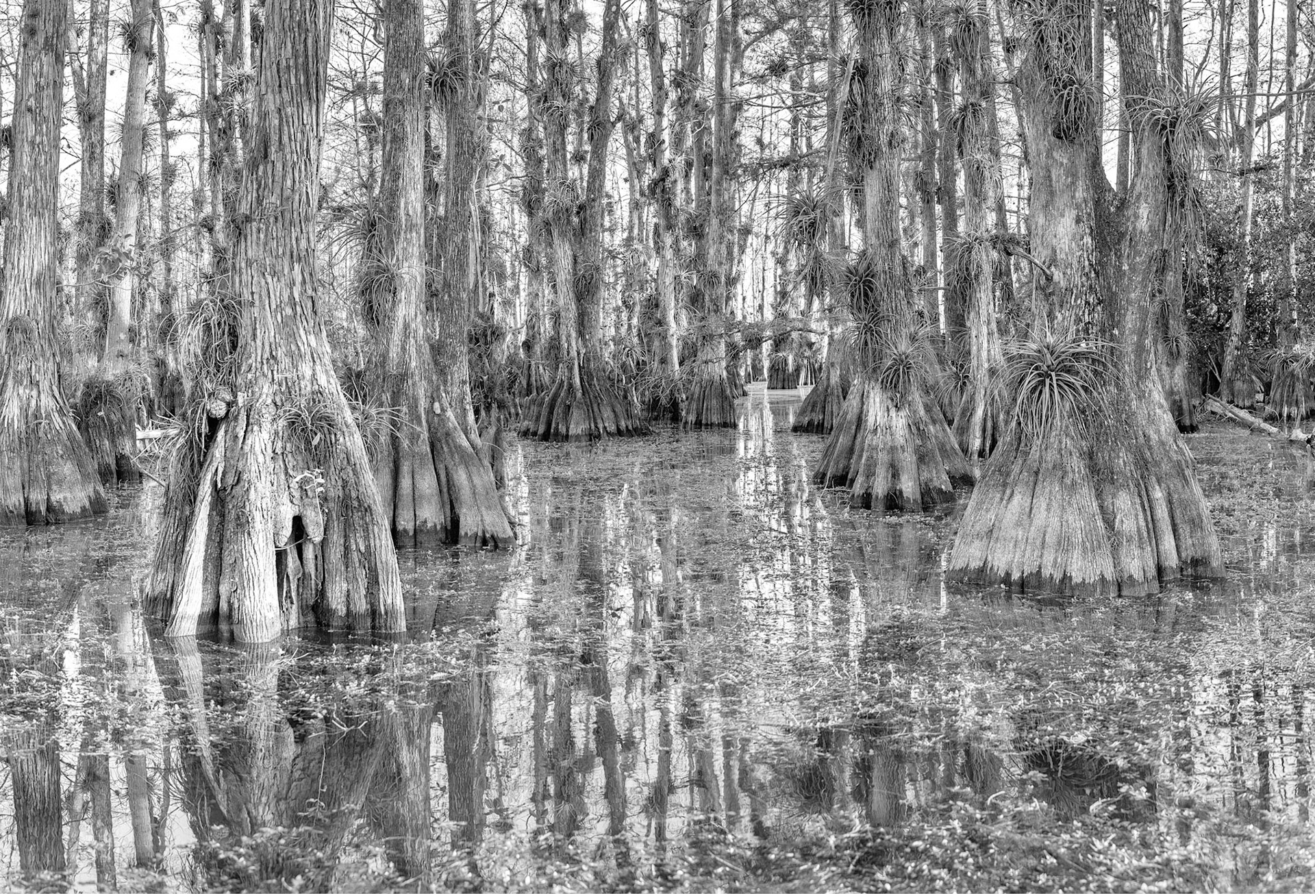 Morning @ Gator Hook