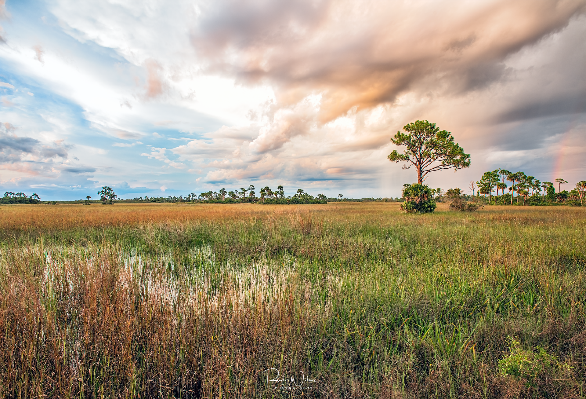Sunset At Big Cypress