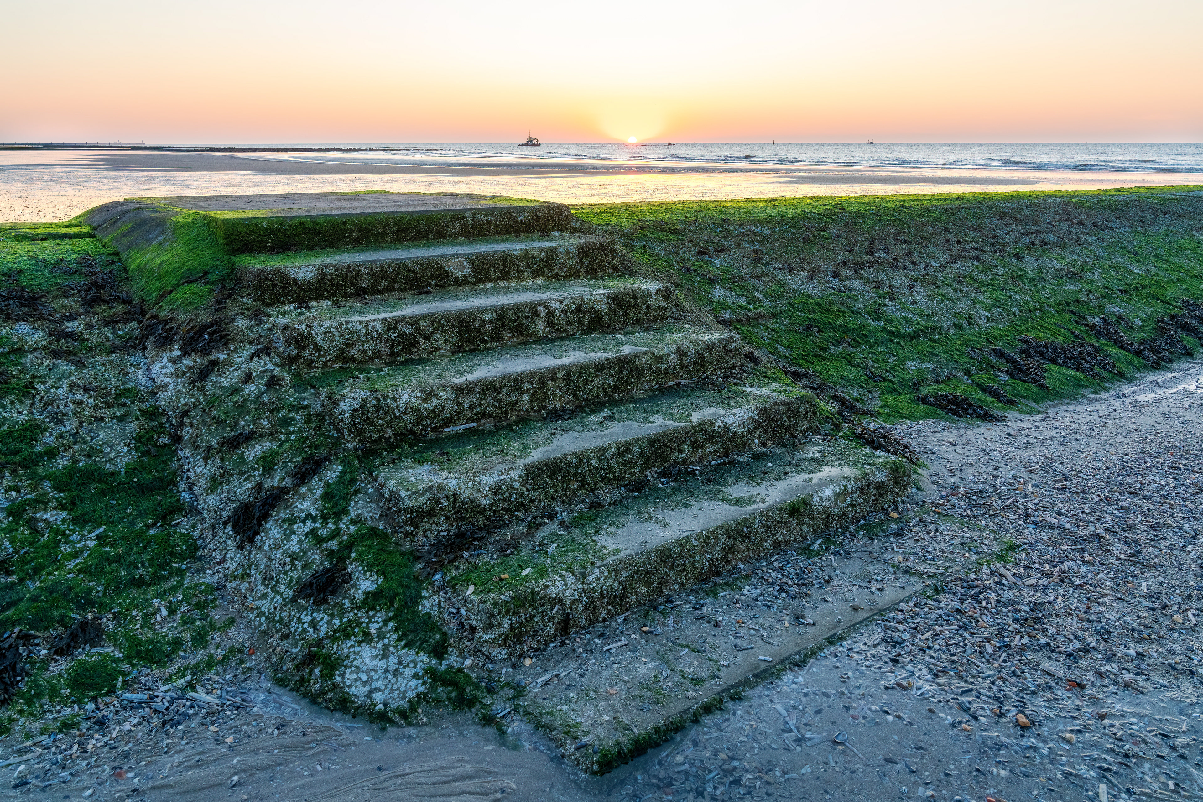 Westende's Seaweed Stairway
