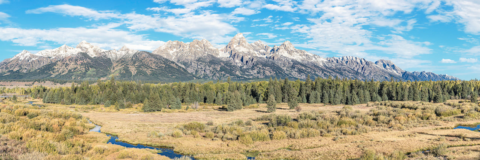 Blacktail Ponds Overlook