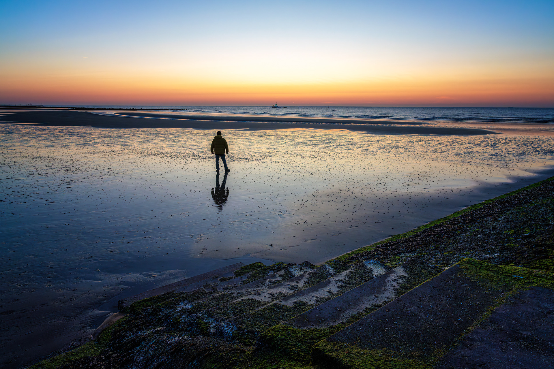 The Solitary Observer