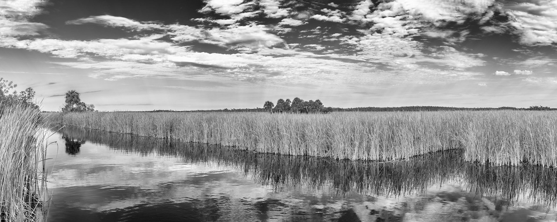 Along the Tamiami Trail