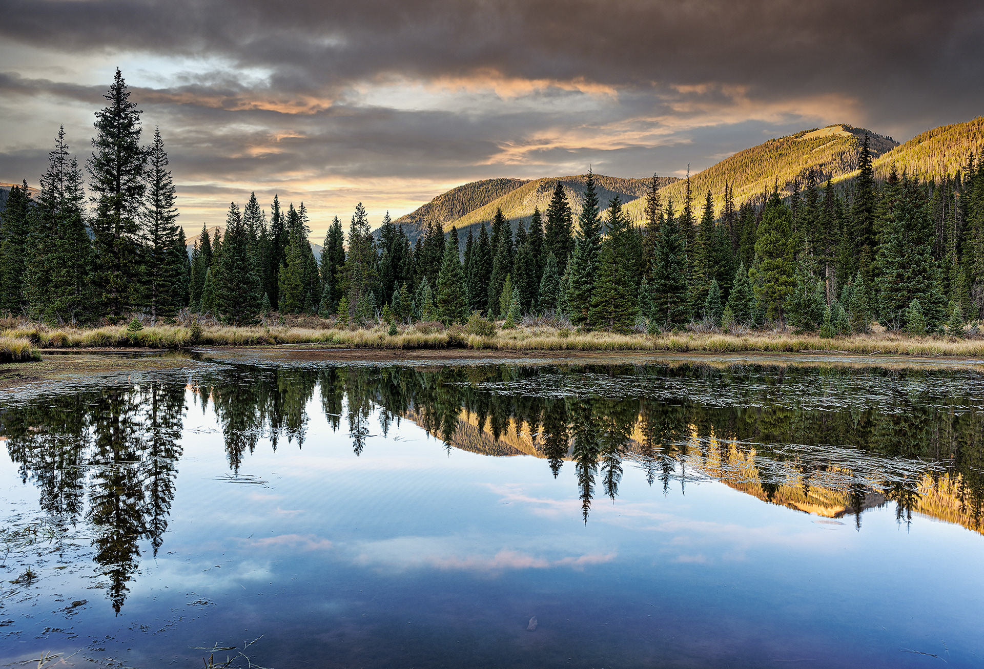 Rocky Mountain NP Beaver Pond 2018