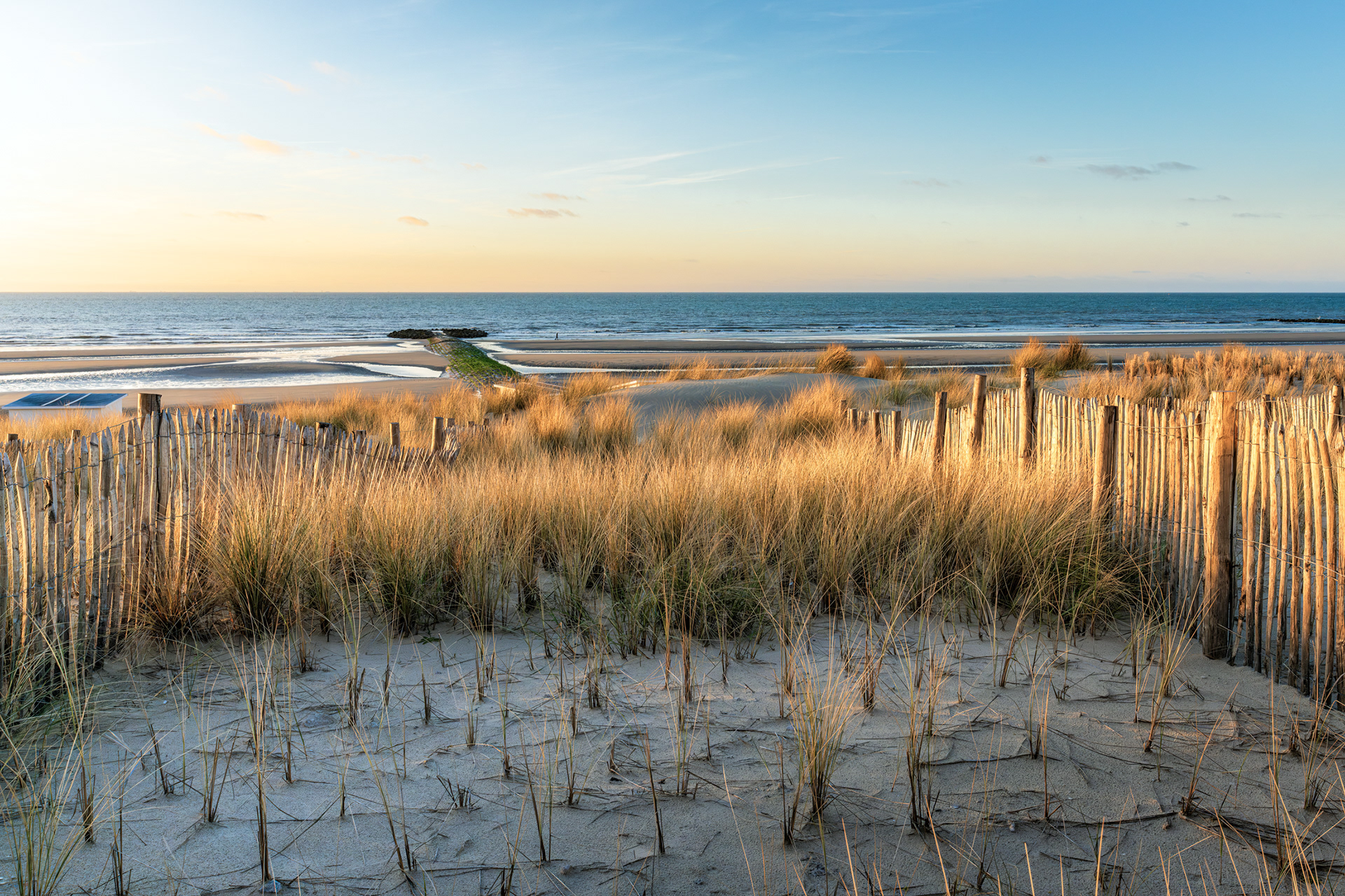 Fading Light, Enduring Lines
