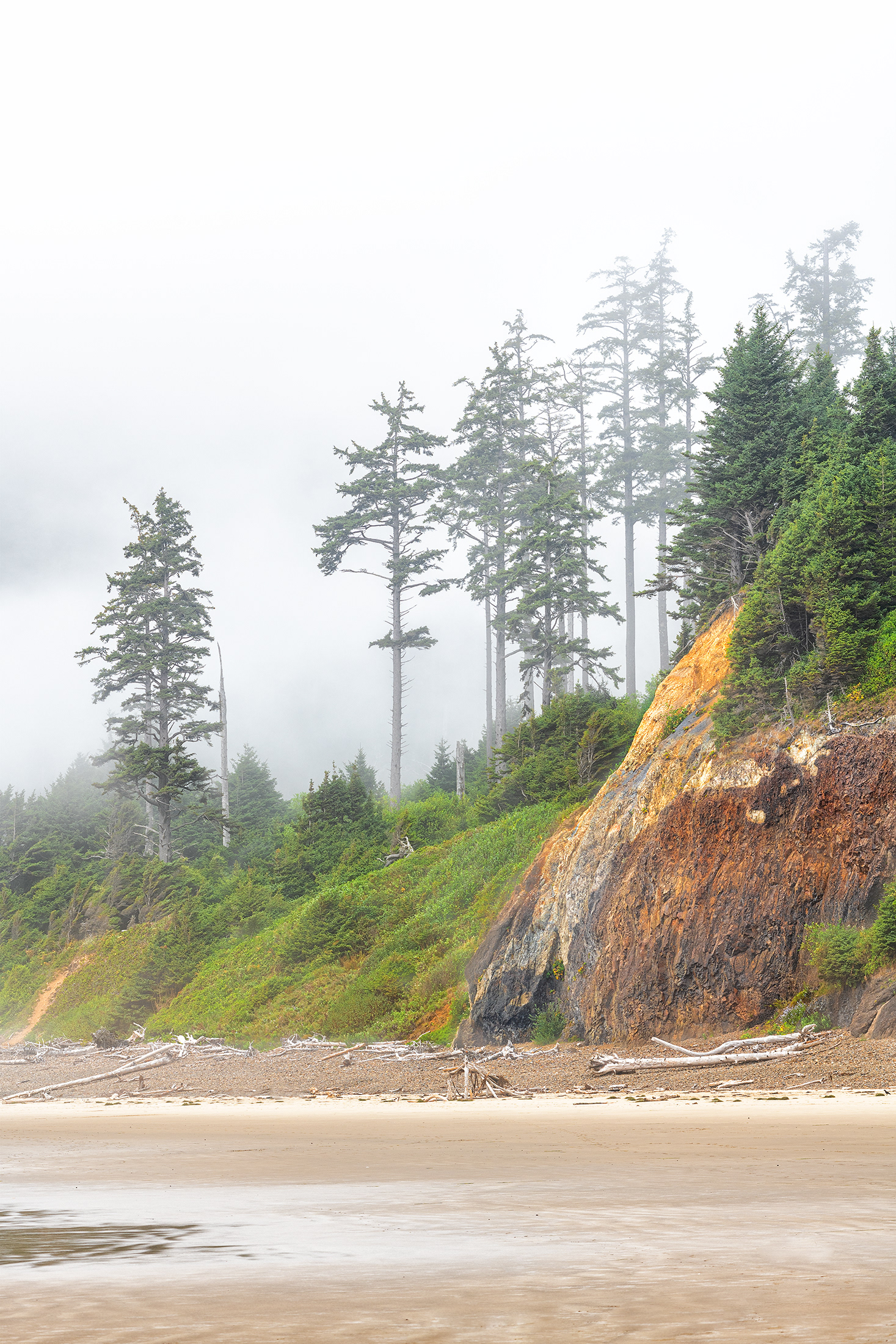 Morning Fog at Indian Beach