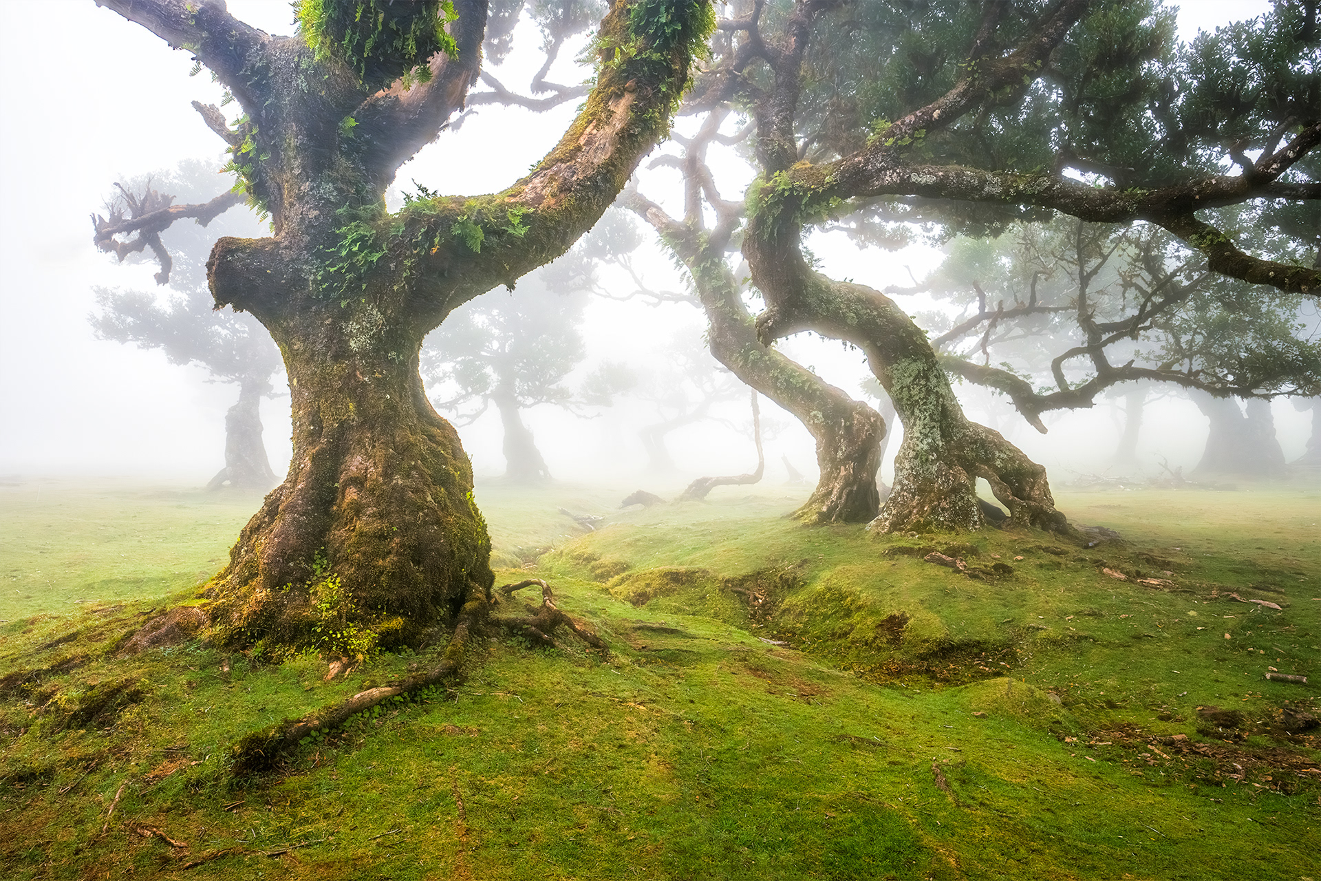 The Unknown Path