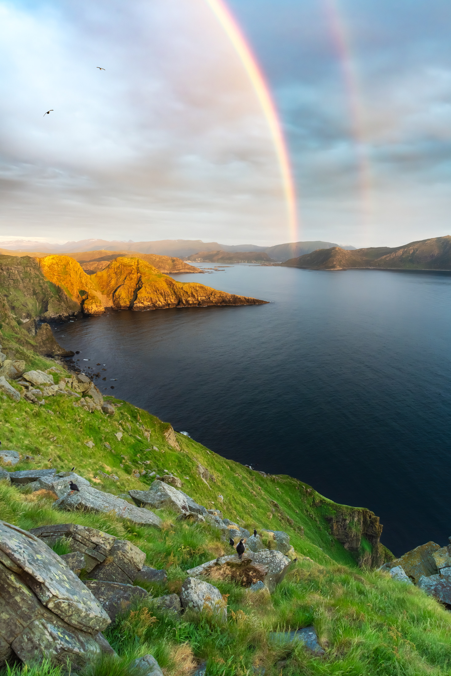 Where Rainbows Meet Puffins