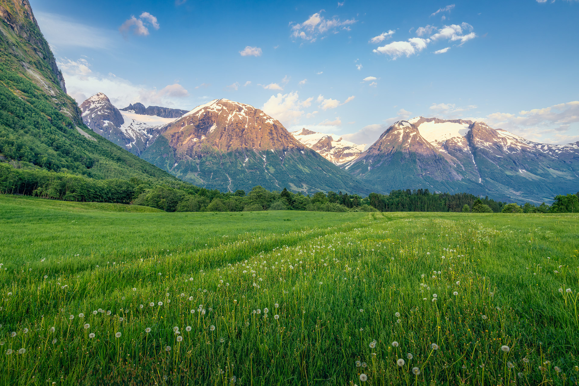 Dandelion Dreams to Mountain Majesty