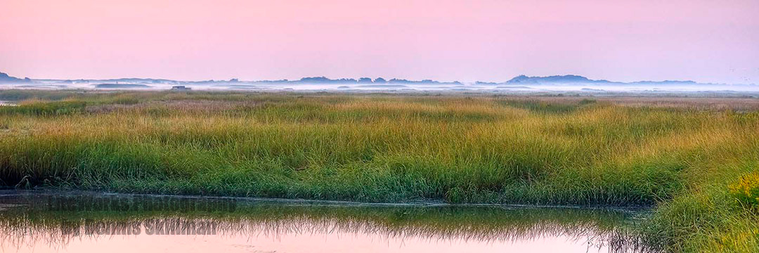 Mist On The Marsh, Newburyport, MA
