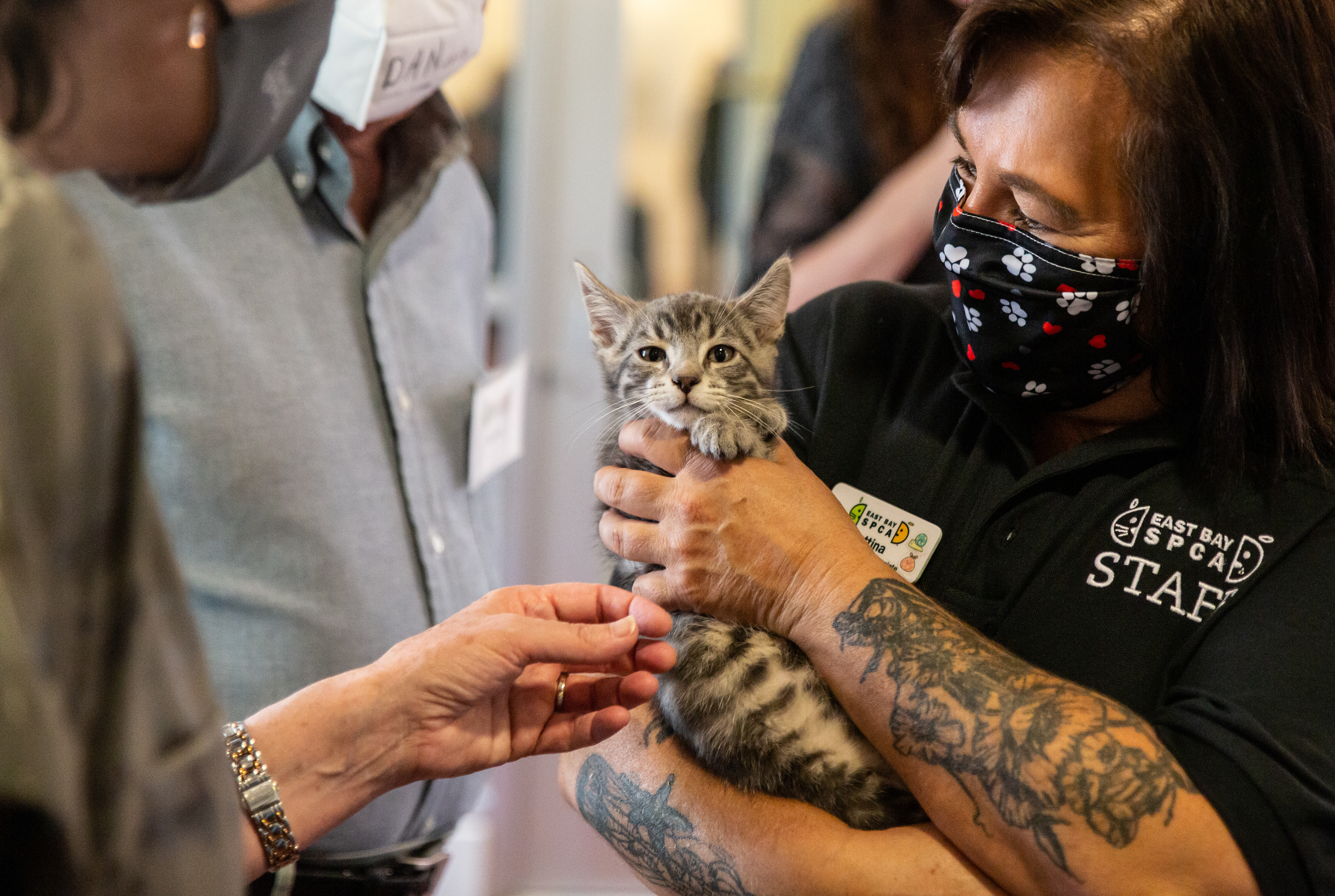 SPCA