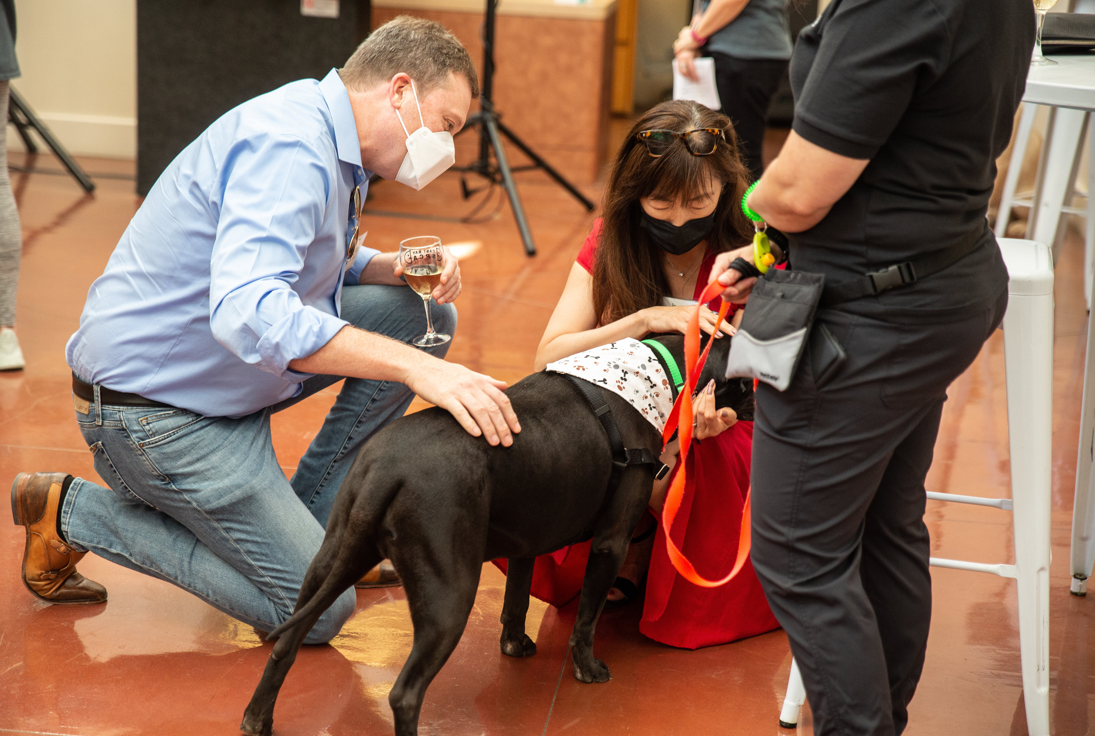 SPCA