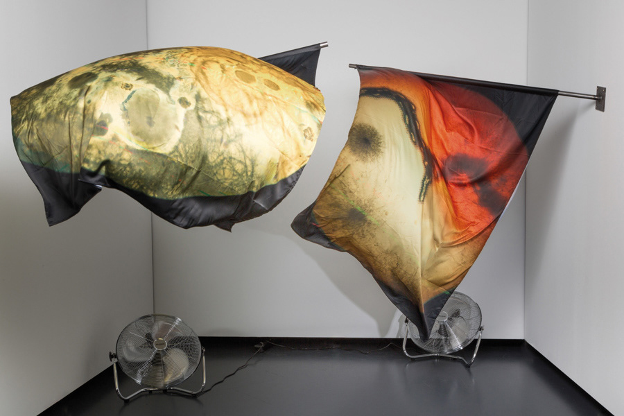 Colonies (Serie). Impresión Digital sobre Tela. Ventiladores programados. 2017