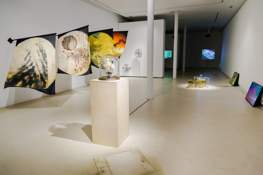 Exposición Dimensiones Paralelas. Fundación BilbaoArte Fundazioa, Bilbao - España