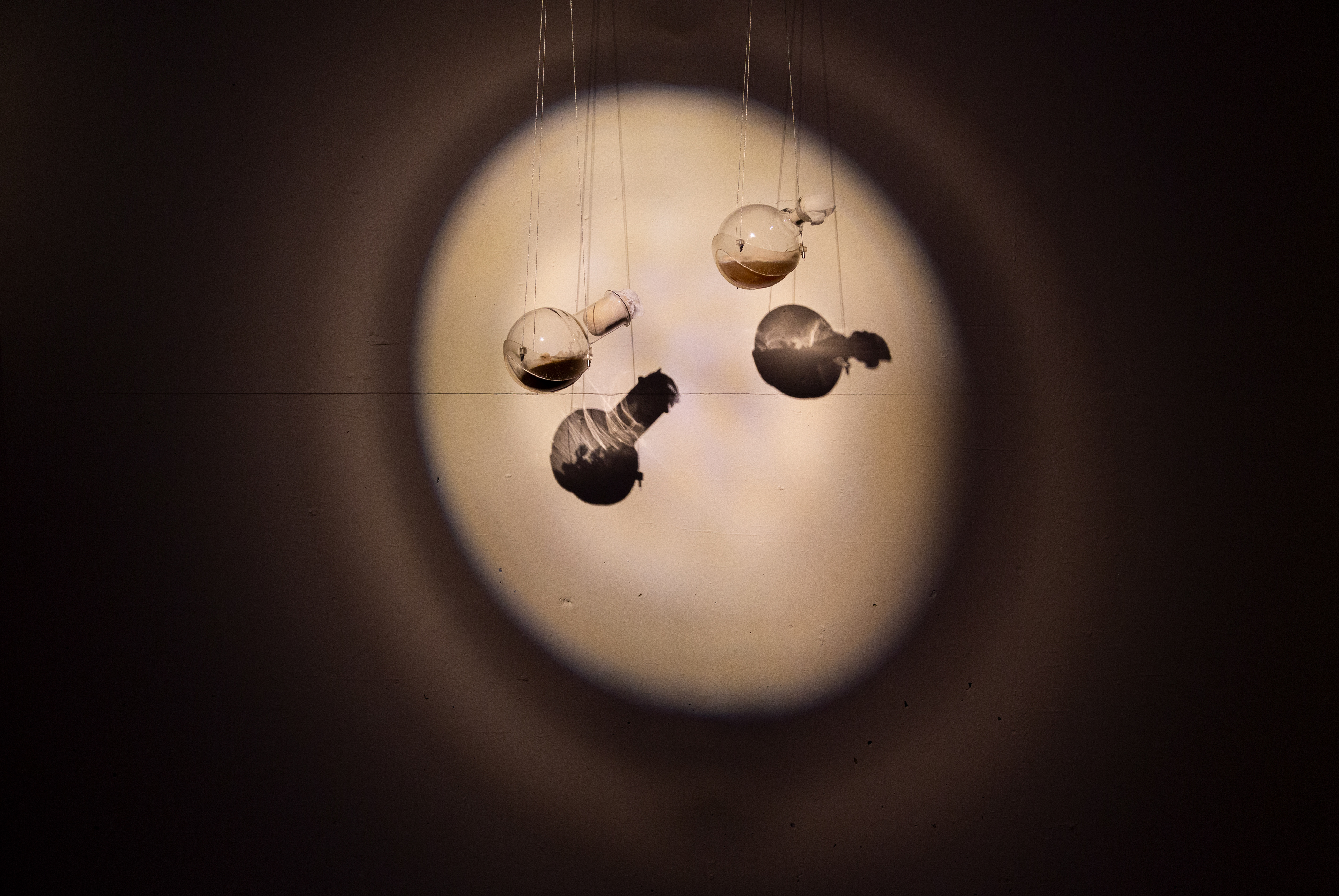 Myco Resilience Fiction'. Instalación escultórica, sonora y audiovisual en MuséeL Universidad Católica de Lovaina. 2022 - Bélgica