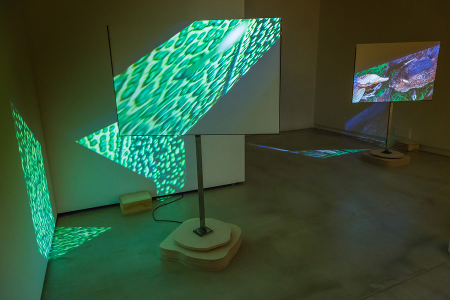 Exposición Dimensiones Paralelas. Fundación BilbaoArte Fundazioa, Bilbao - España