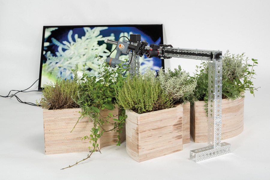 Jardí́n. Plantas aromáticas, microscopio, sistema mecánico. 2017