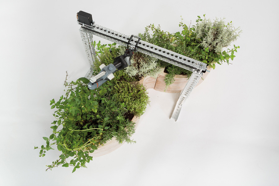 Jardí́n. Plantas aromáticas, microscopio, sistema mecánico. 2017