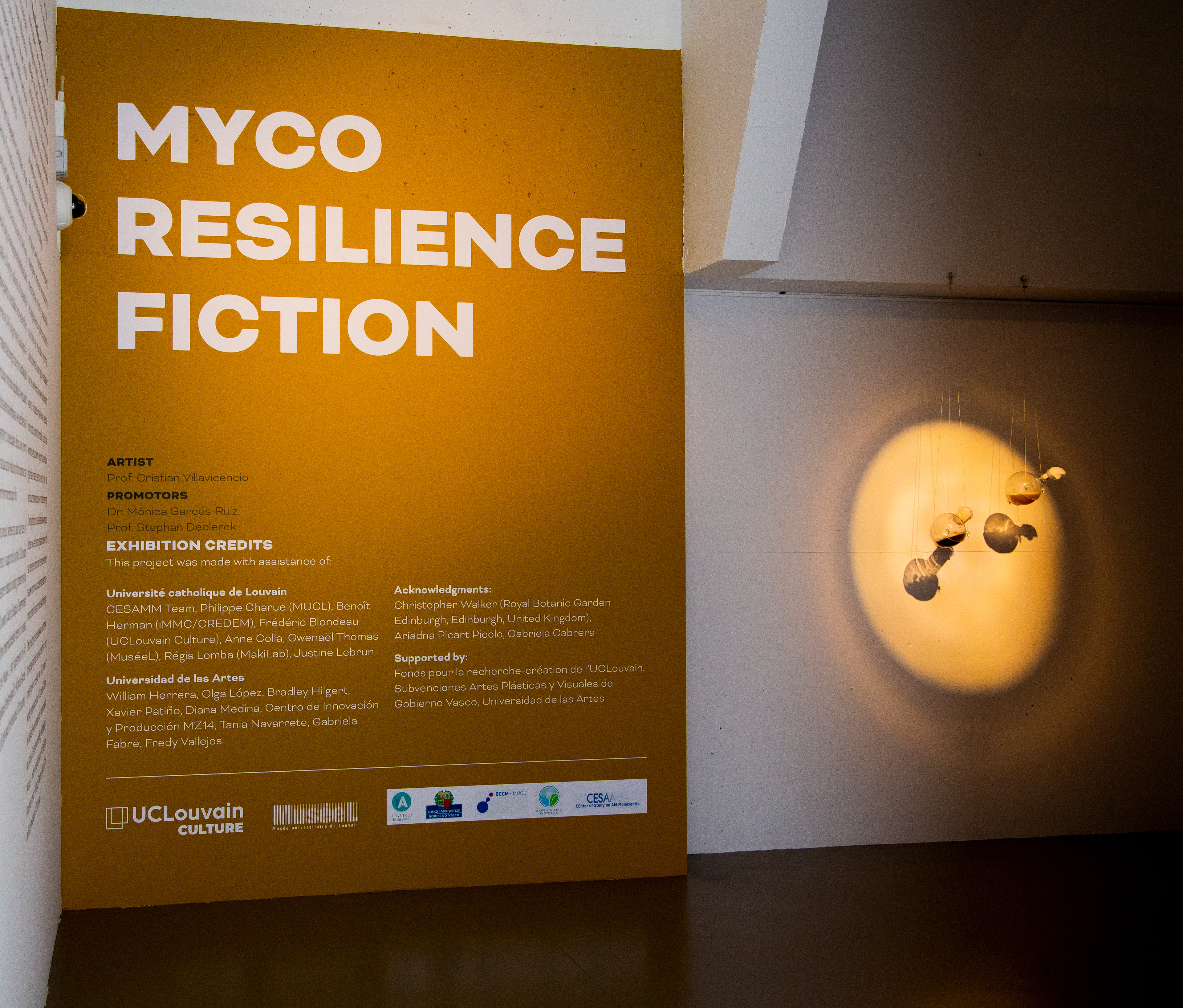 Myco Resilience Fiction'. Instalación escultórica, sonora y audiovisual en MuséeL Universidad Católica de Lovaina. 2022 - Bélgica