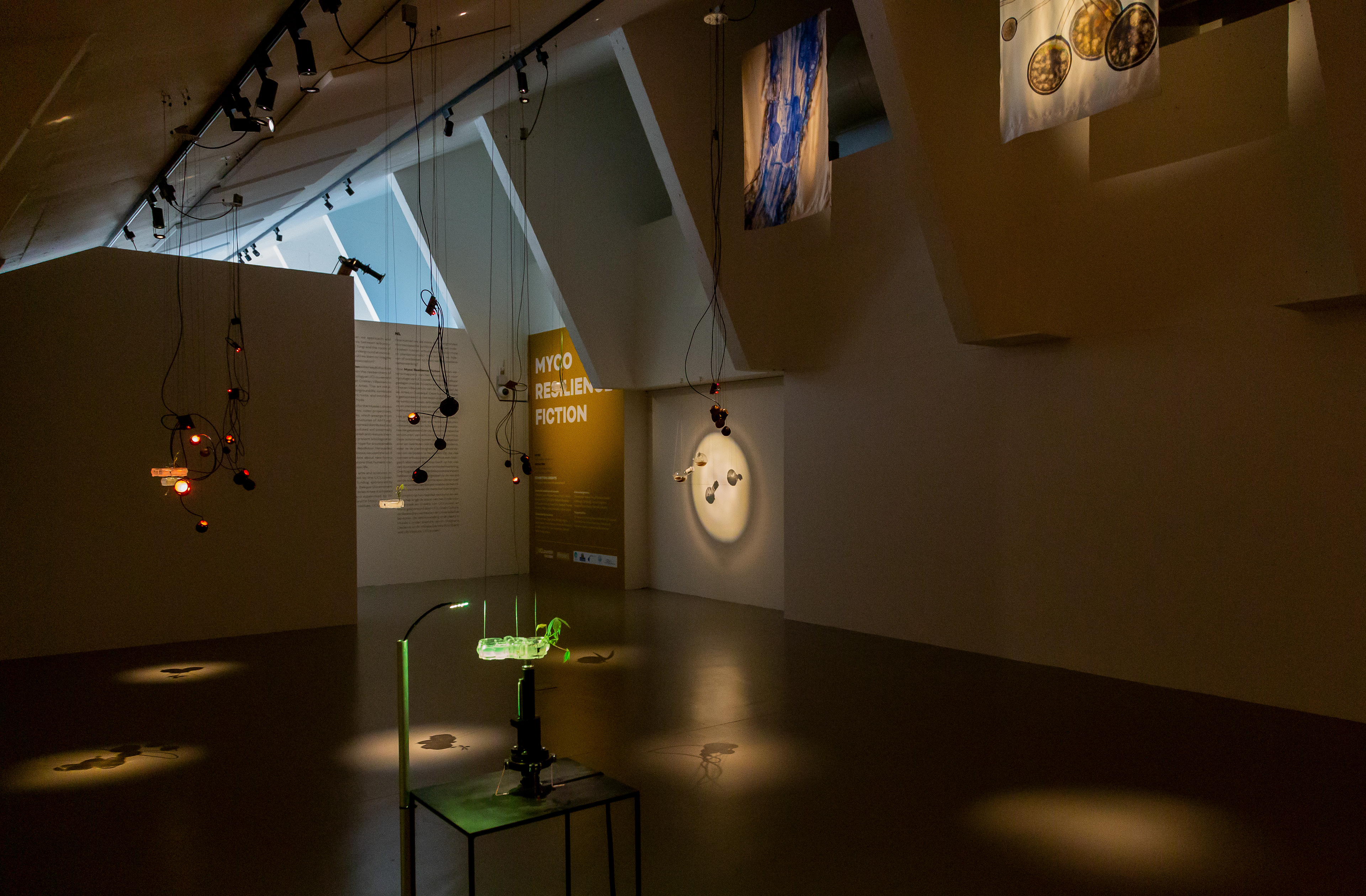 Myco Resilience Fiction'. Instalación escultórica, sonora y audiovisual en MuséeL Universidad Católica de Lovaina. 2022 - Bélgica