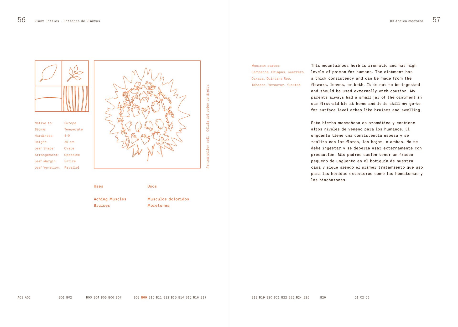 Arnica Information Spread