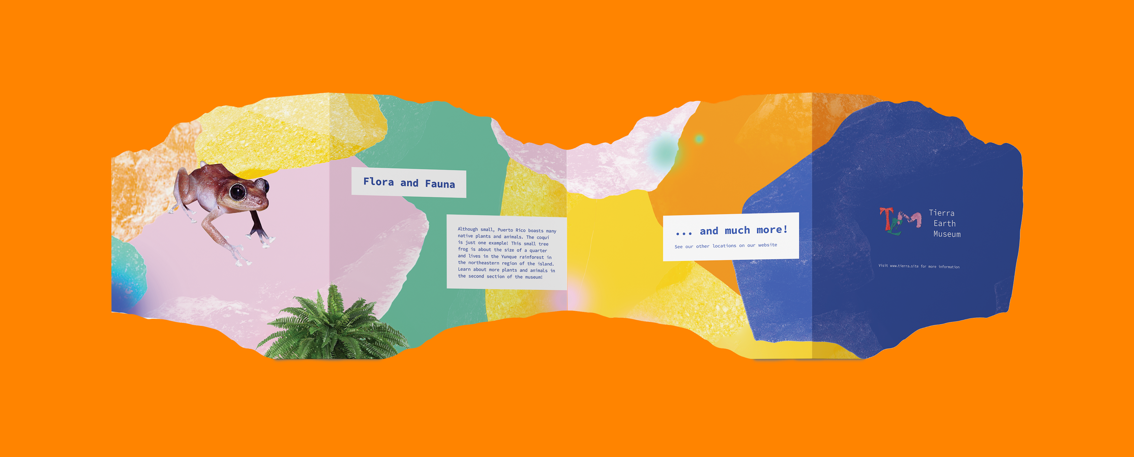 Brochure Side B