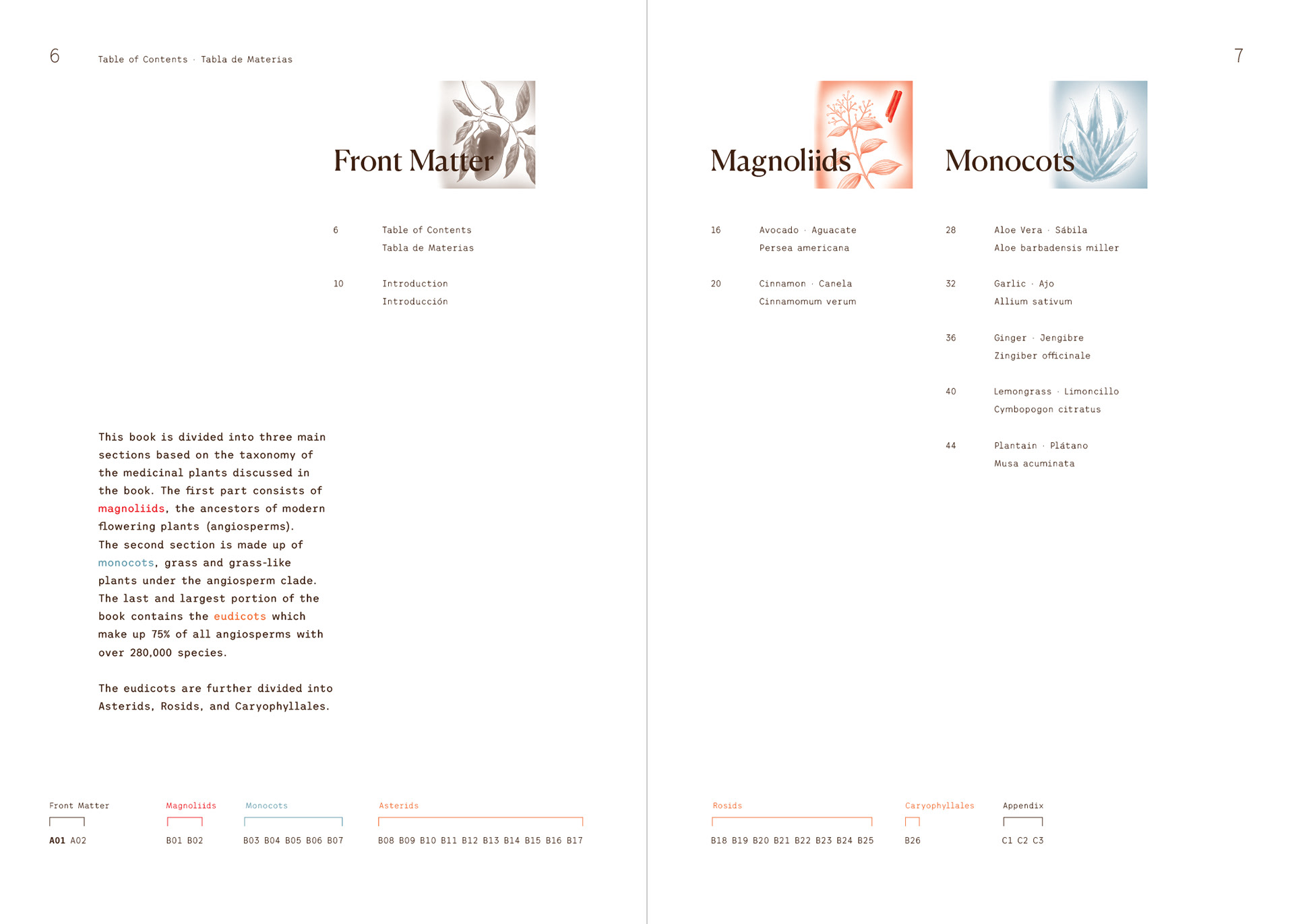 Table of Contents Spread