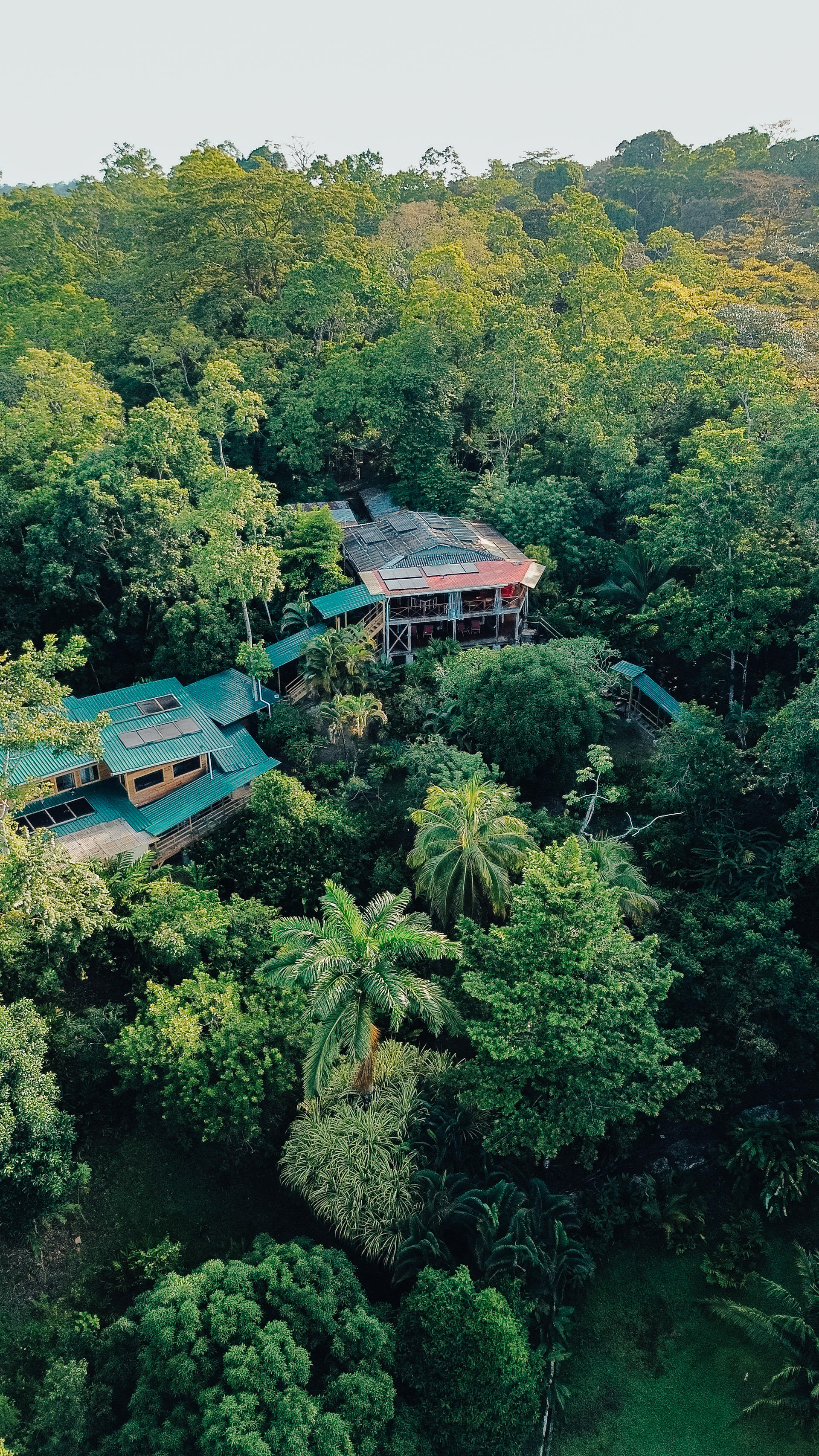 Eden Jungle Lodge (Panama)