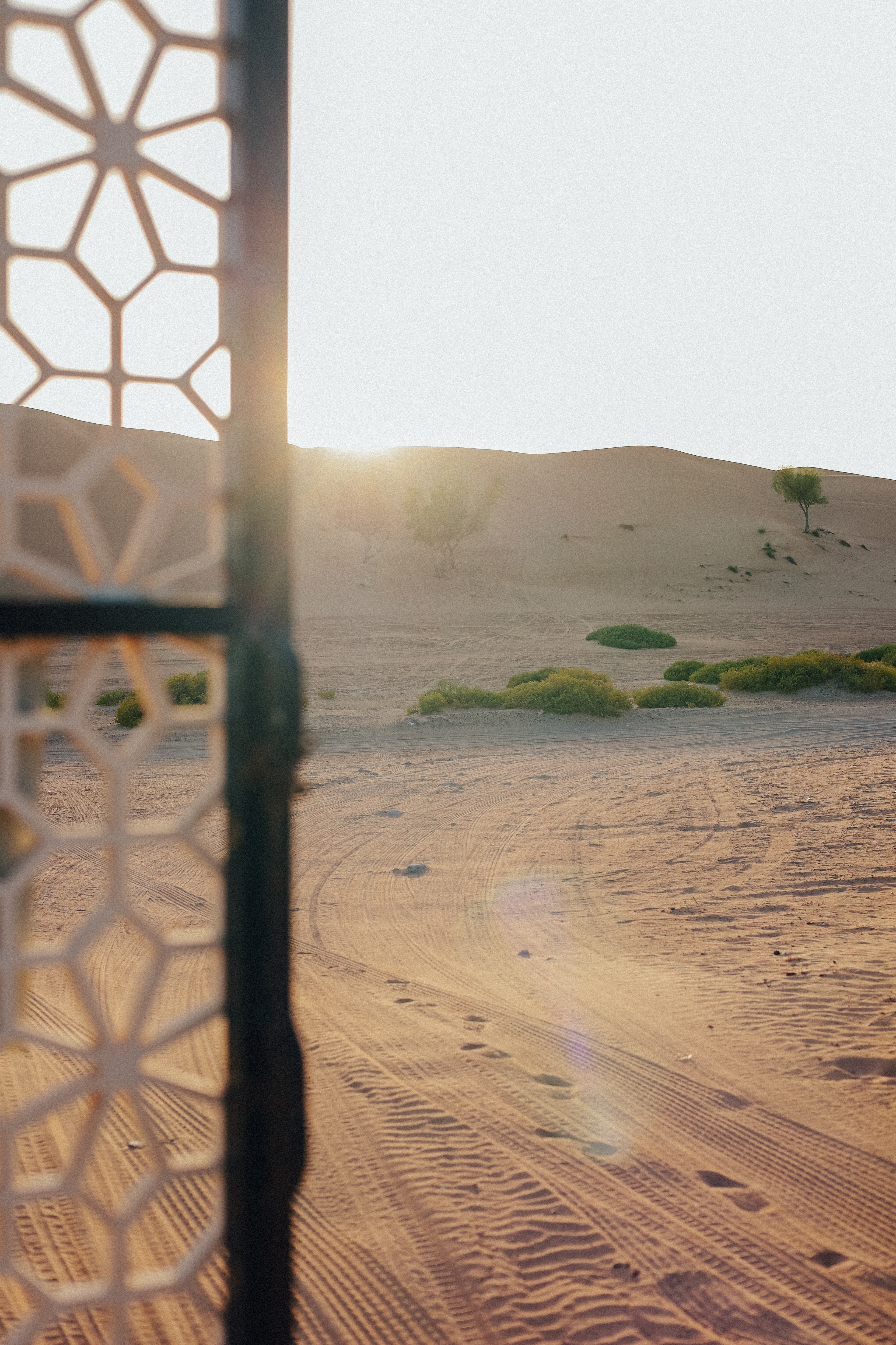 Golden Palm Oasis