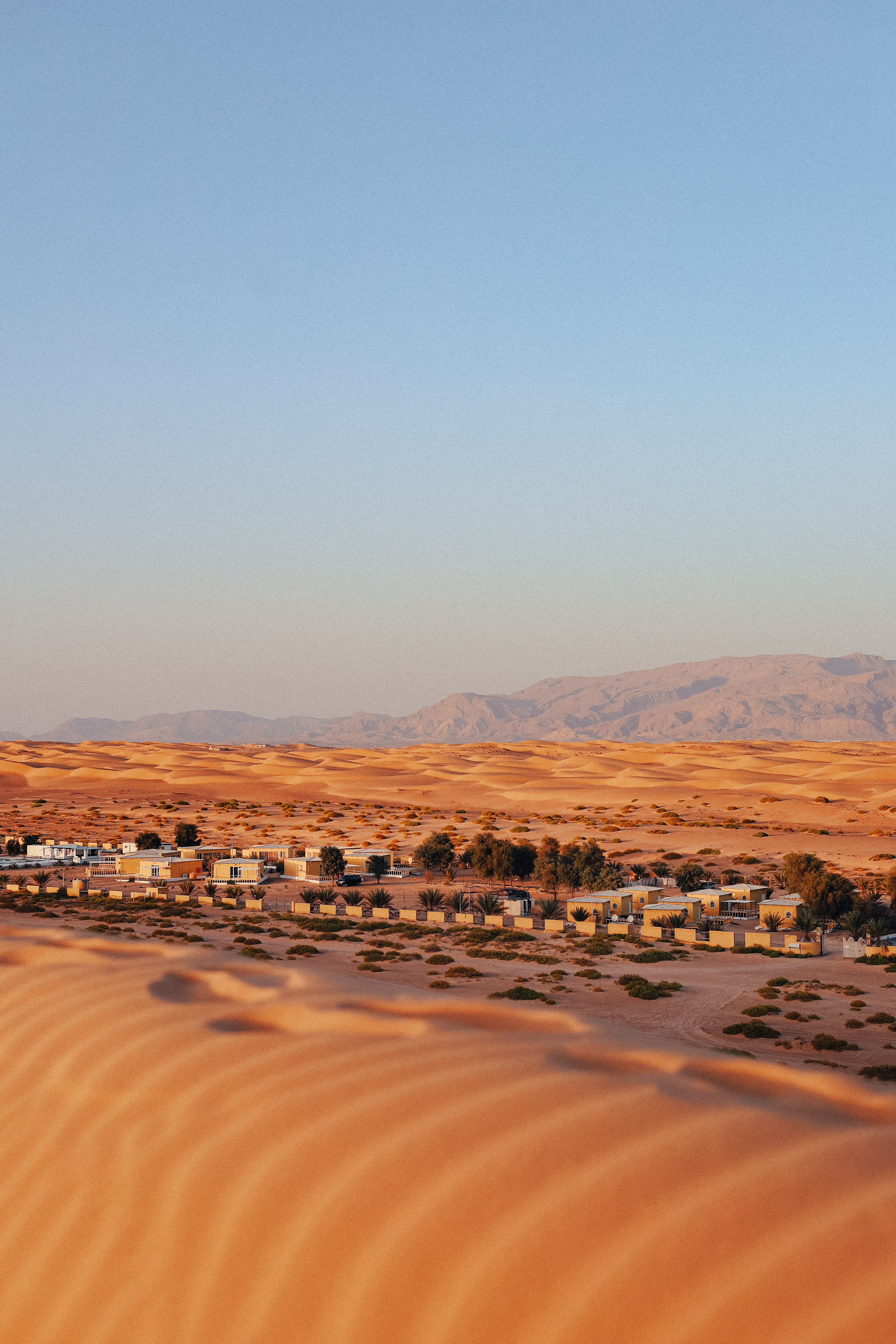 Golden Palm Oasis