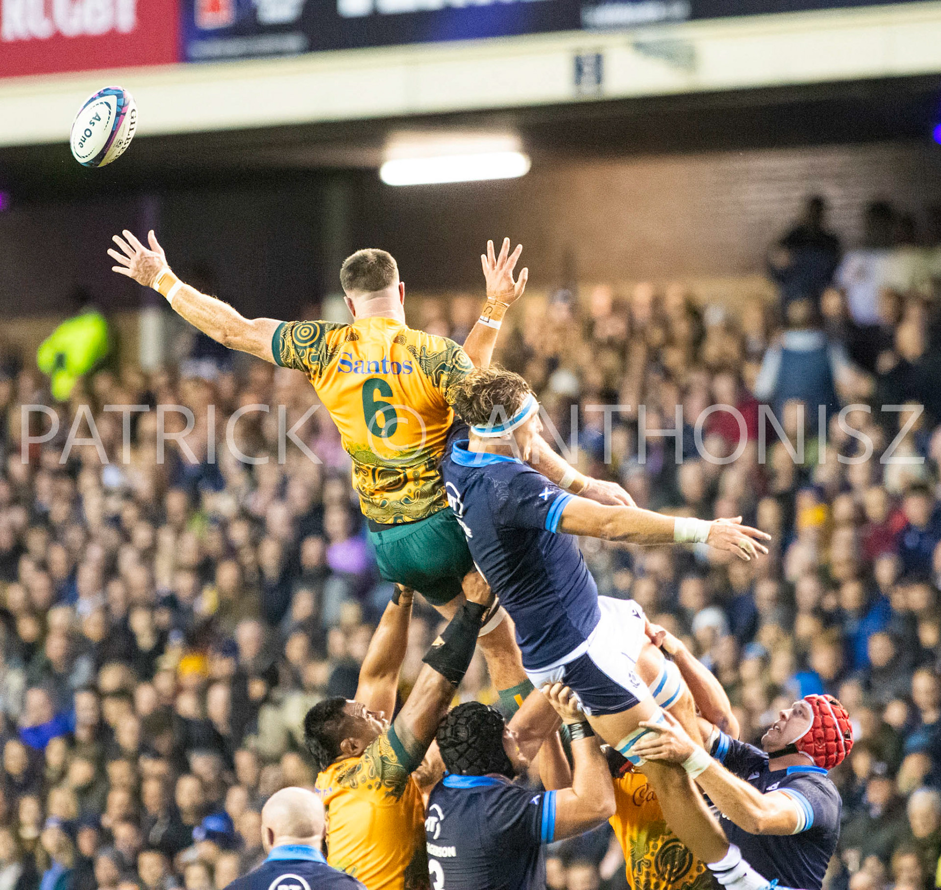 Scotland  October 29th : Jed Holloway of Australia losses the ball  during the Rugby Union Autumn Internationals match between Australia Vs Scotland at BT Murrayfield Stadium Scotland 29th October 2022 Australia 16: Scotland  15