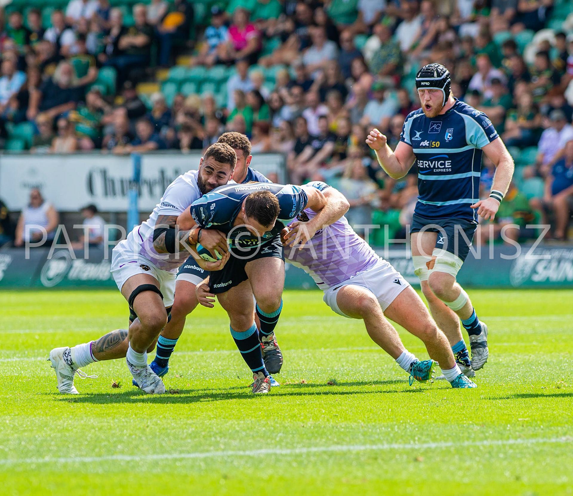 NORTHAMPTON, ENGLAND - August 27 : 2022 Corrie Barrett of Bedford blues tries to  break away during the match between Northampton Saints and Bedford Blues   at Franklin's Gardens on August 27  2022 in Northampton, England.
