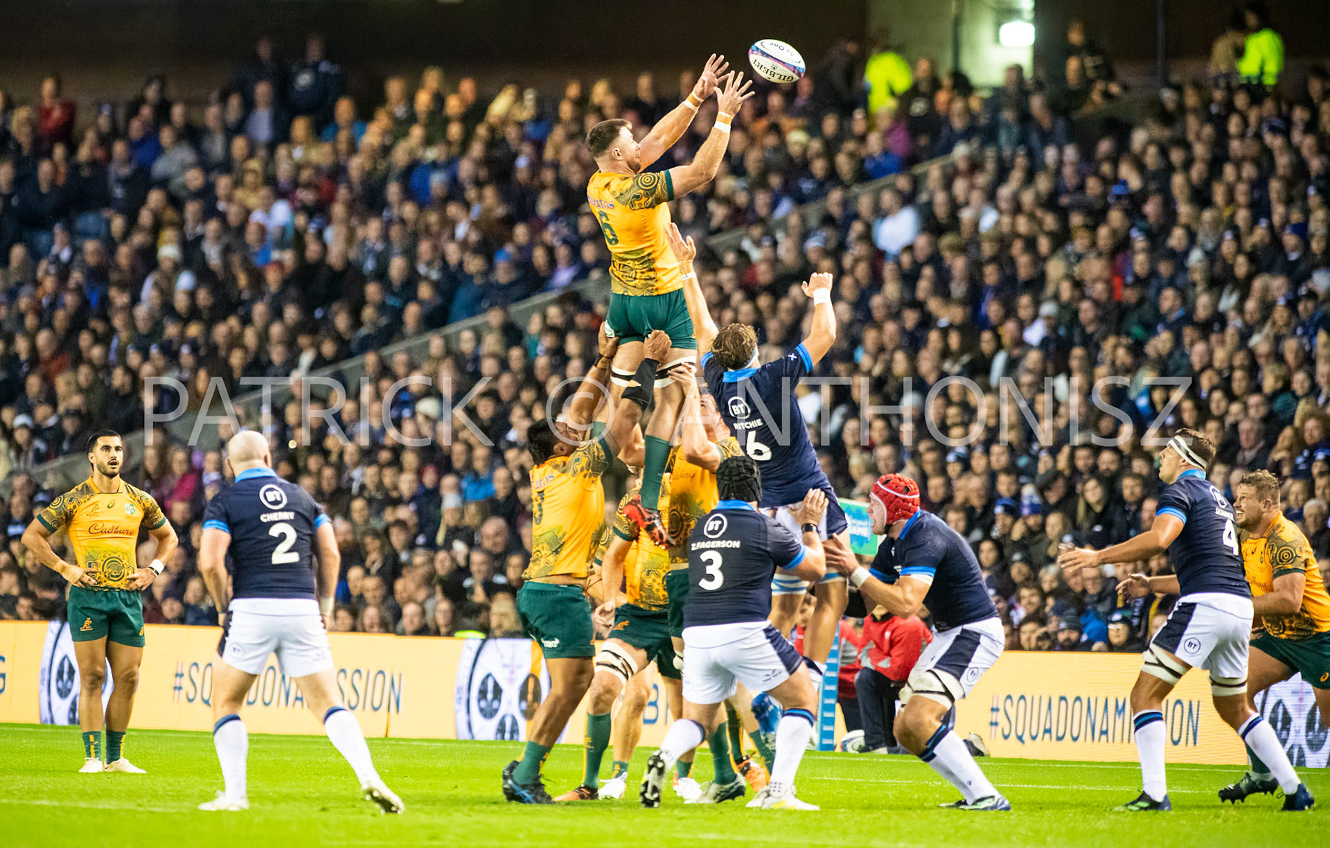 Scotland  October 29th : Jed Holloway of Australia wins the ball  during the Rugby Union Autumn Internationals match between Australia Vs Scotland at BT Murrayfield Stadium Scotland 29th October 2022 Australia 16: Scotland  15