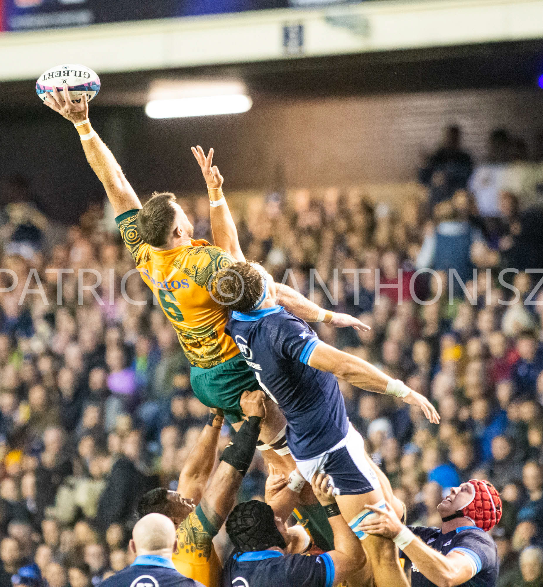 Scotland  October 29th : Jed Holloway of Australia wins the lineout  during the Rugby Union Autumn Internationals match between Australia Vs Scotland at BT Murrayfield Stadium Scotland 29th October 2022 Australia 16: Scotland  15