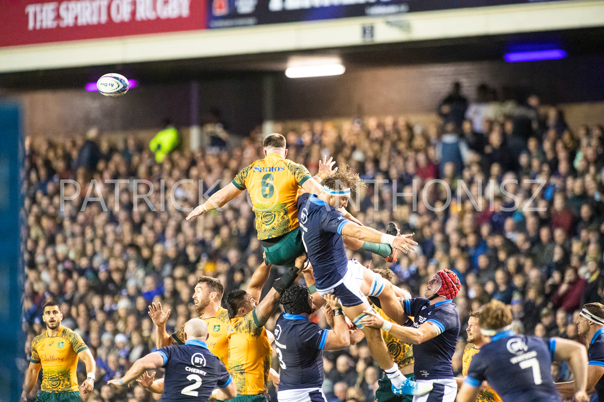 Scotland  October 29th : Jed Holloway of Australia the lineout  during the Rugby Union Autumn Internationals match between Australia Vs Scotland at BT Murrayfield Stadium Scotland 29th October 2022 Australia 16: Scotland  15