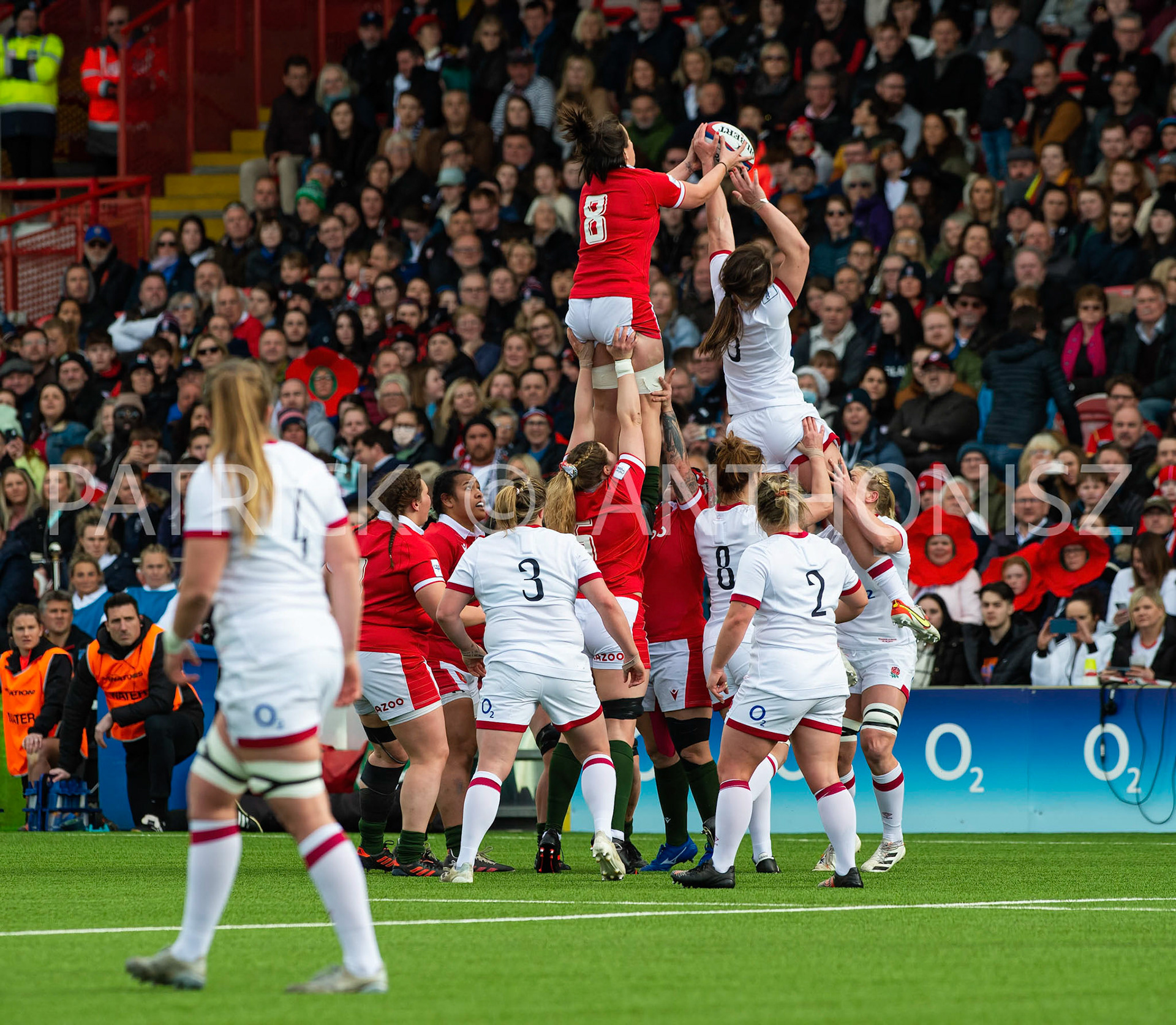 England Vs Wales Six Nations Gloucester 9 April 2022. Sioned Harries of Wales tries to get the ball during the TikTok Women's Six Nations Rugby Championship match, England Red Roses Vs Wales  Rugby at the Kingsholm  Stadium Gloucester