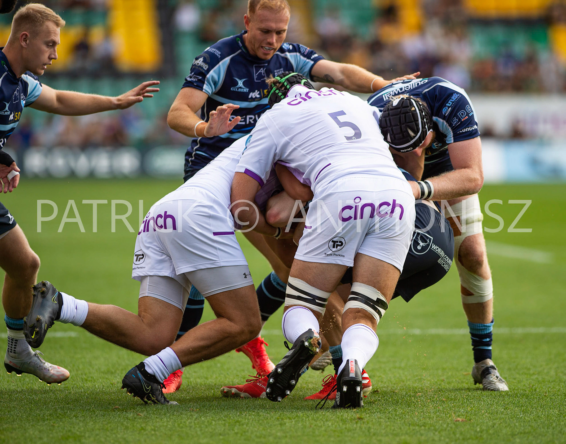 NORTHAMPTON, ENGLAND - August 27 : 2022 NO 5 Alex Coles (c)  of Northampton is seen in action during the match between Northampton Saints and Bedford Blues   at Franklin's Gardens on August 27  2022 in Northampton, England.