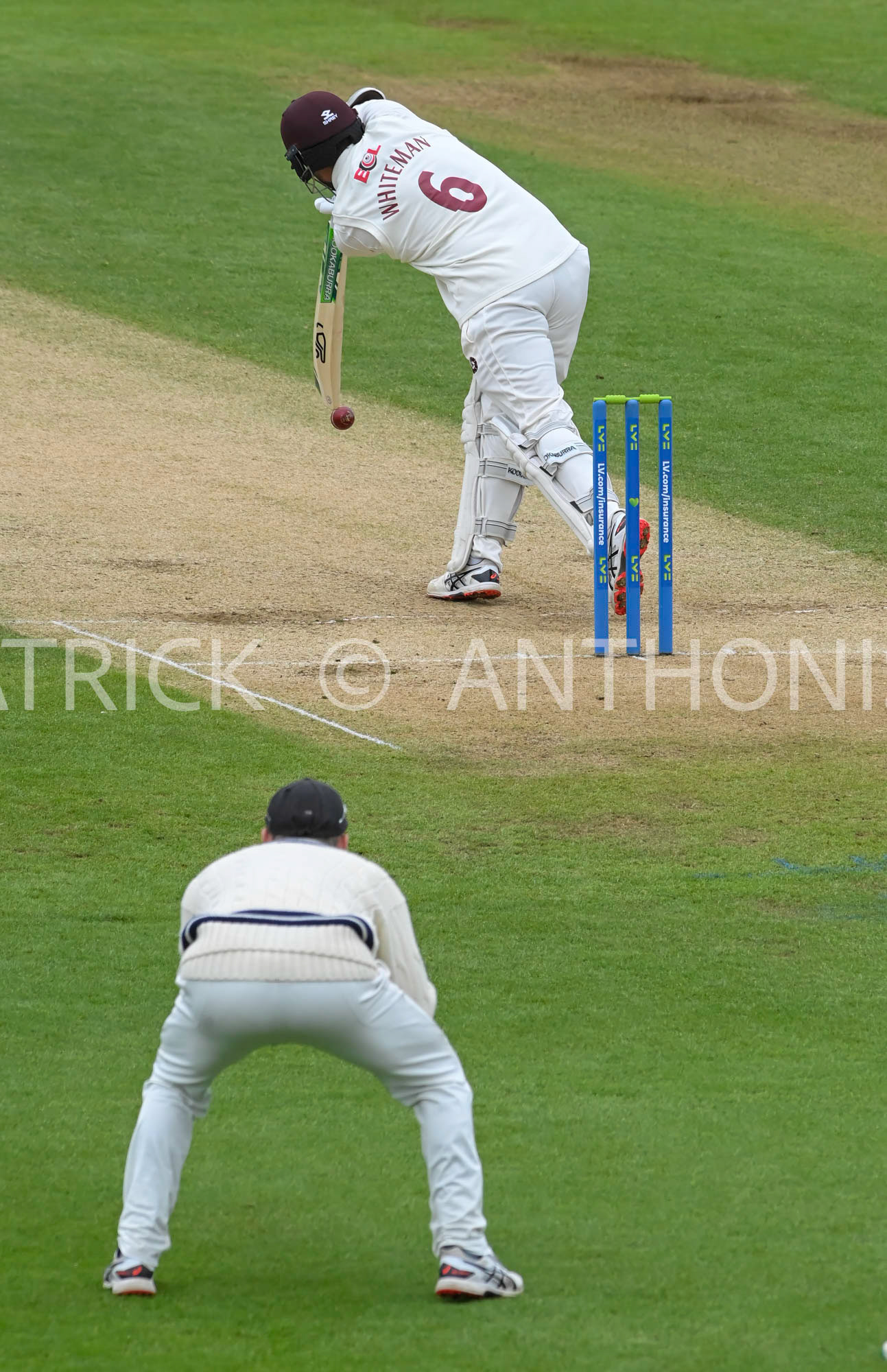 NORTHAMPTON, ENGLAND - April 16 2023 : Sam Whiteman   of Northampton with eyes on the ball during Day 4 of the LV= Insurance County Championship match between Northamptonshire and   Sun  April  16 at The County Ground  in Northampton, England.