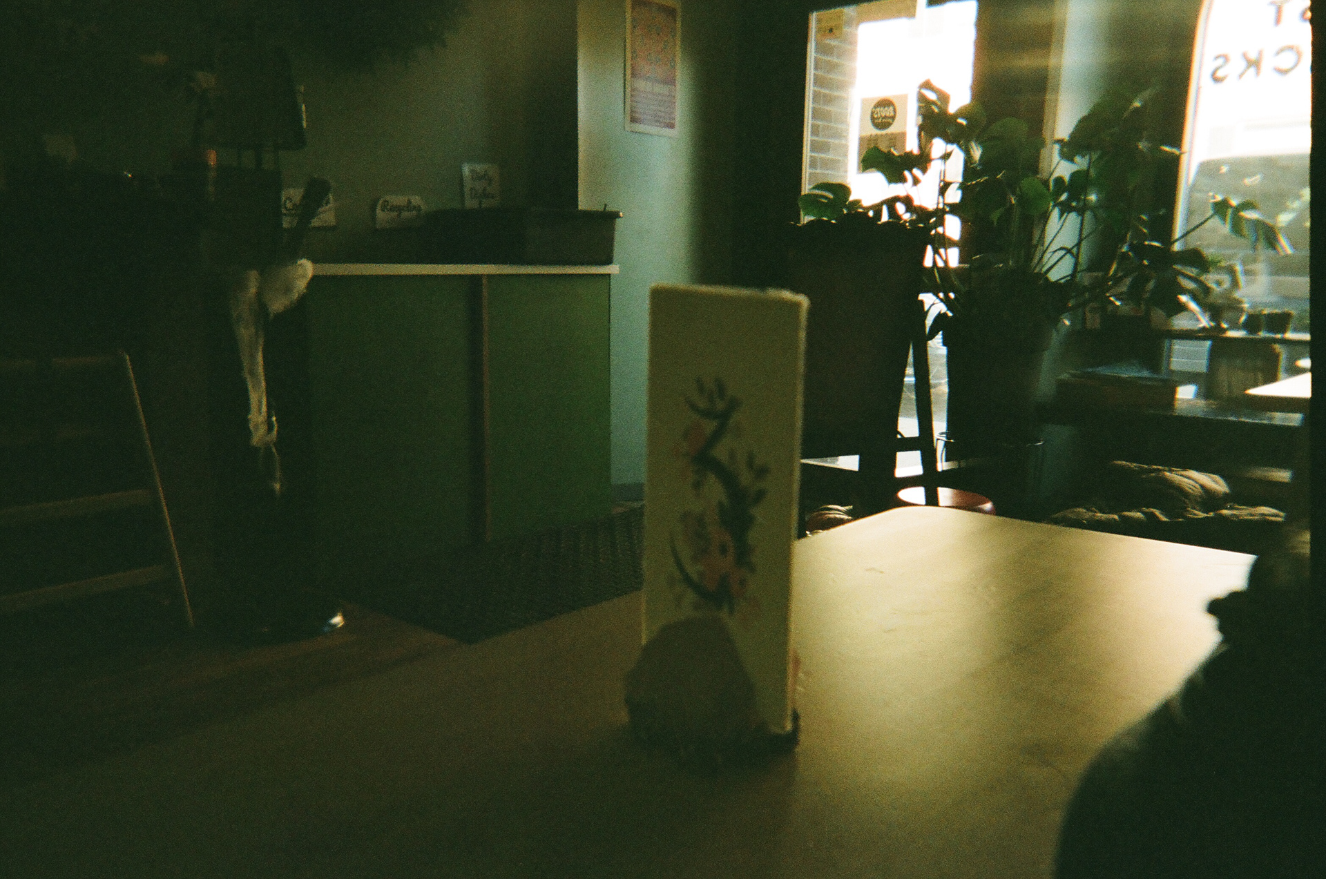 Roots Vegan Cafe and Juice Bar || Fall 2019 || Dover, NH || on film