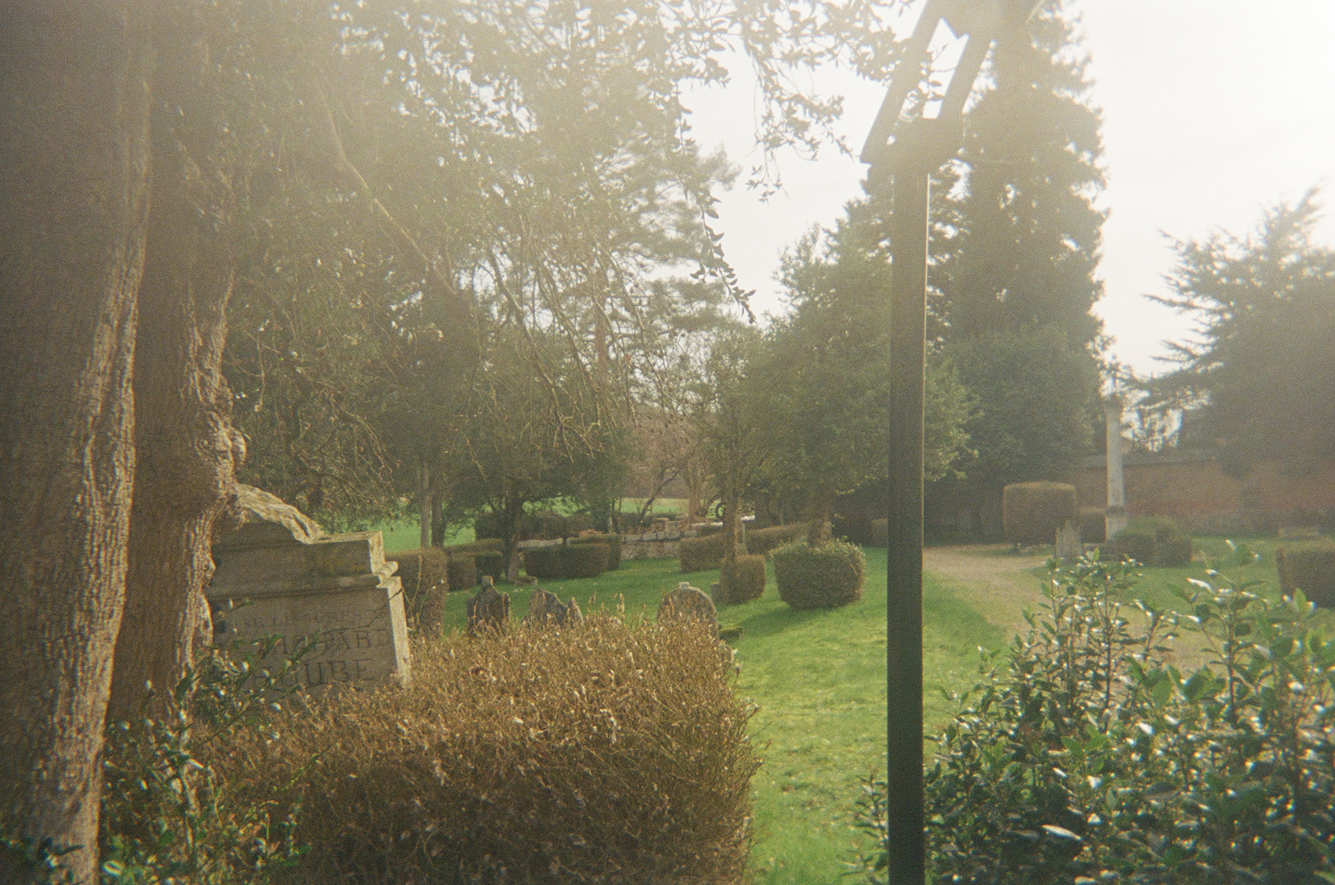 February 2024 || Rosay-sur-Lieure, France || on film