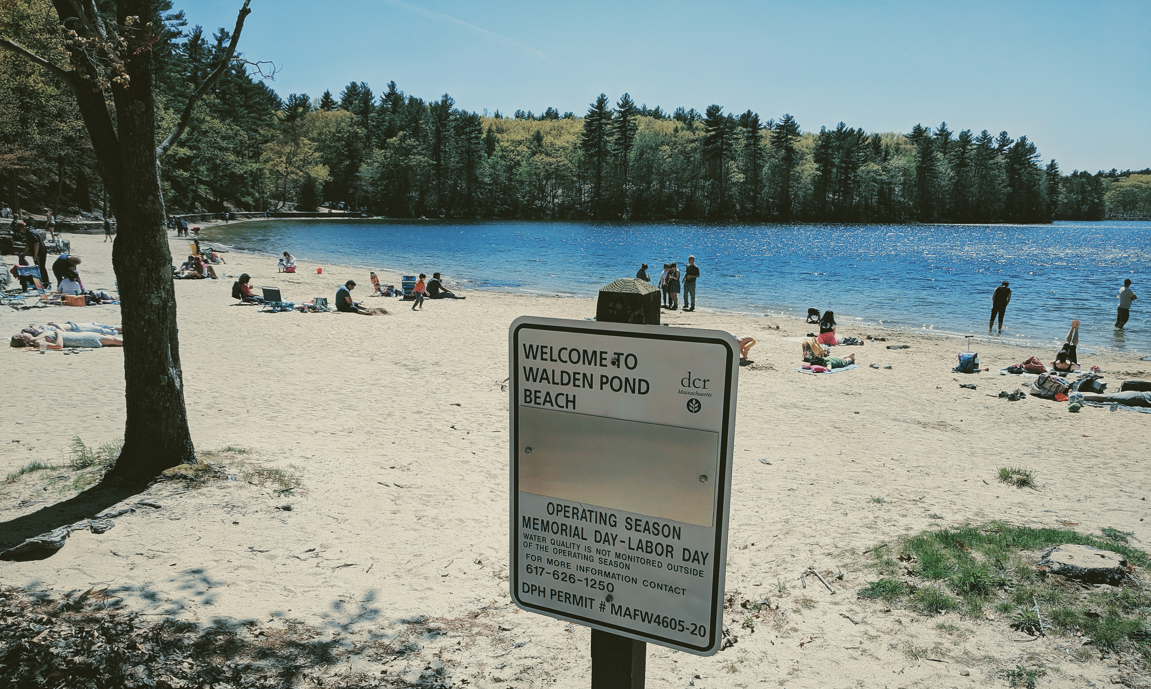 Walden Pond Beach || 2019 || Concord, MA
