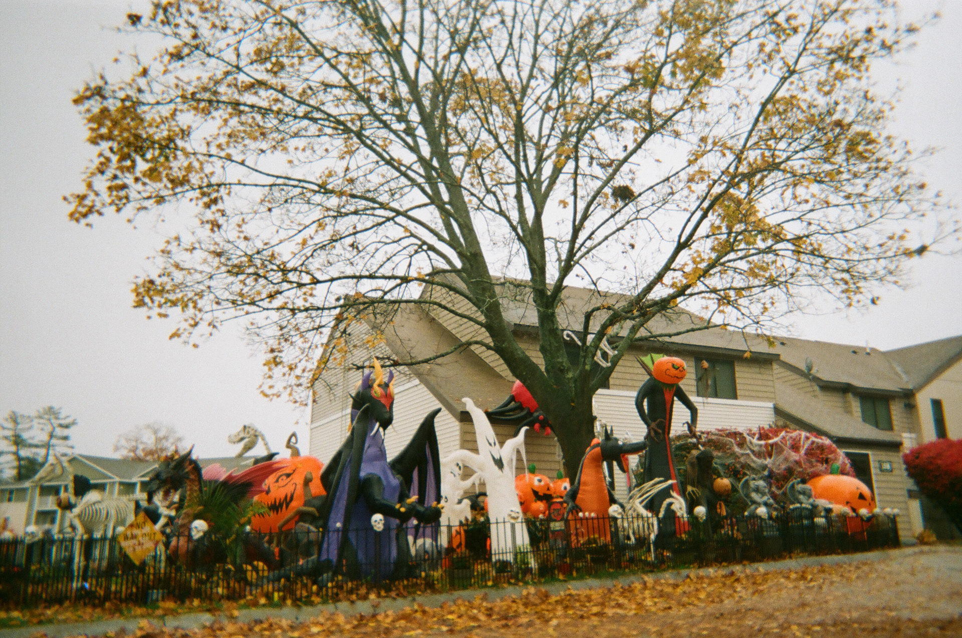 Fall 2019 || Nashua, NH || on film