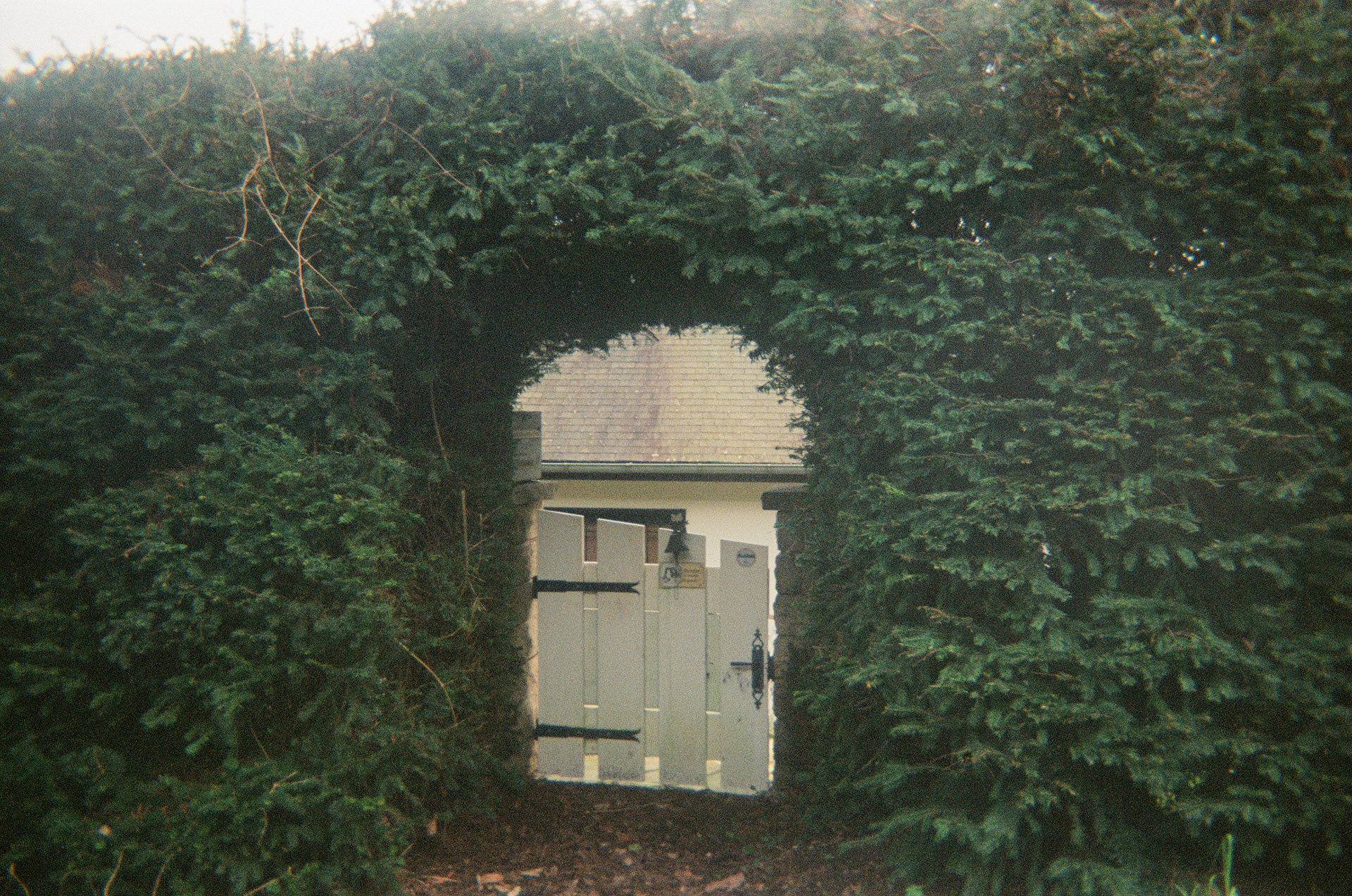 February 2024 || Rosay-sur-Lieure, France || on film