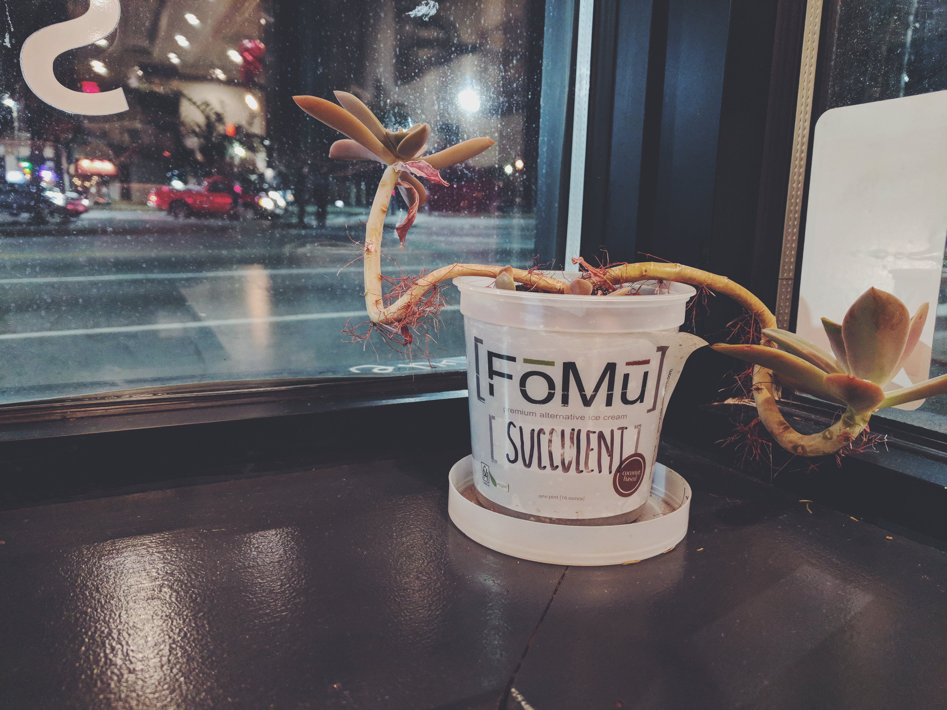 Fomu Ice Cream || Allston, MA